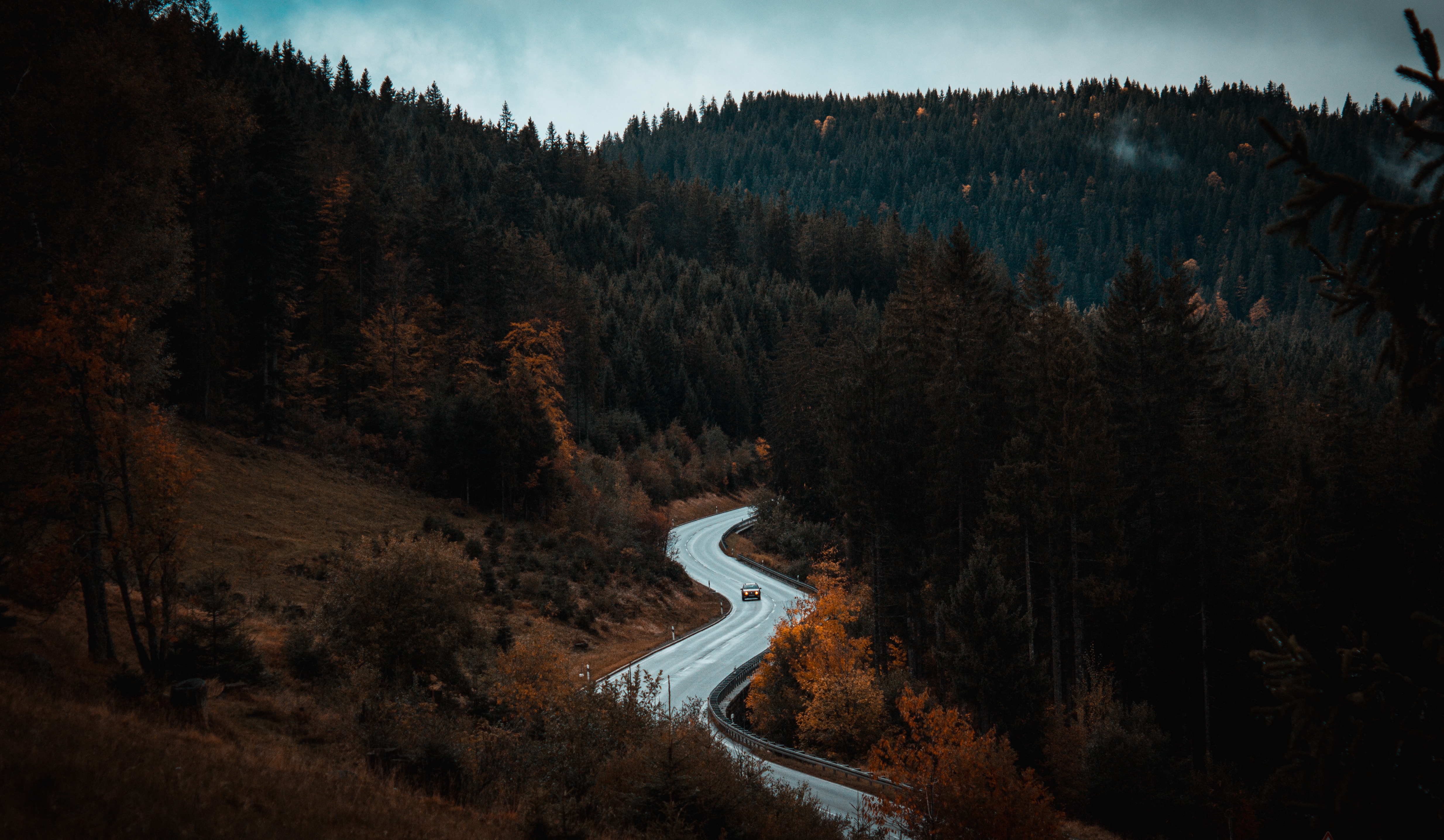 Winding mountain road through a forest HD Wallpaper