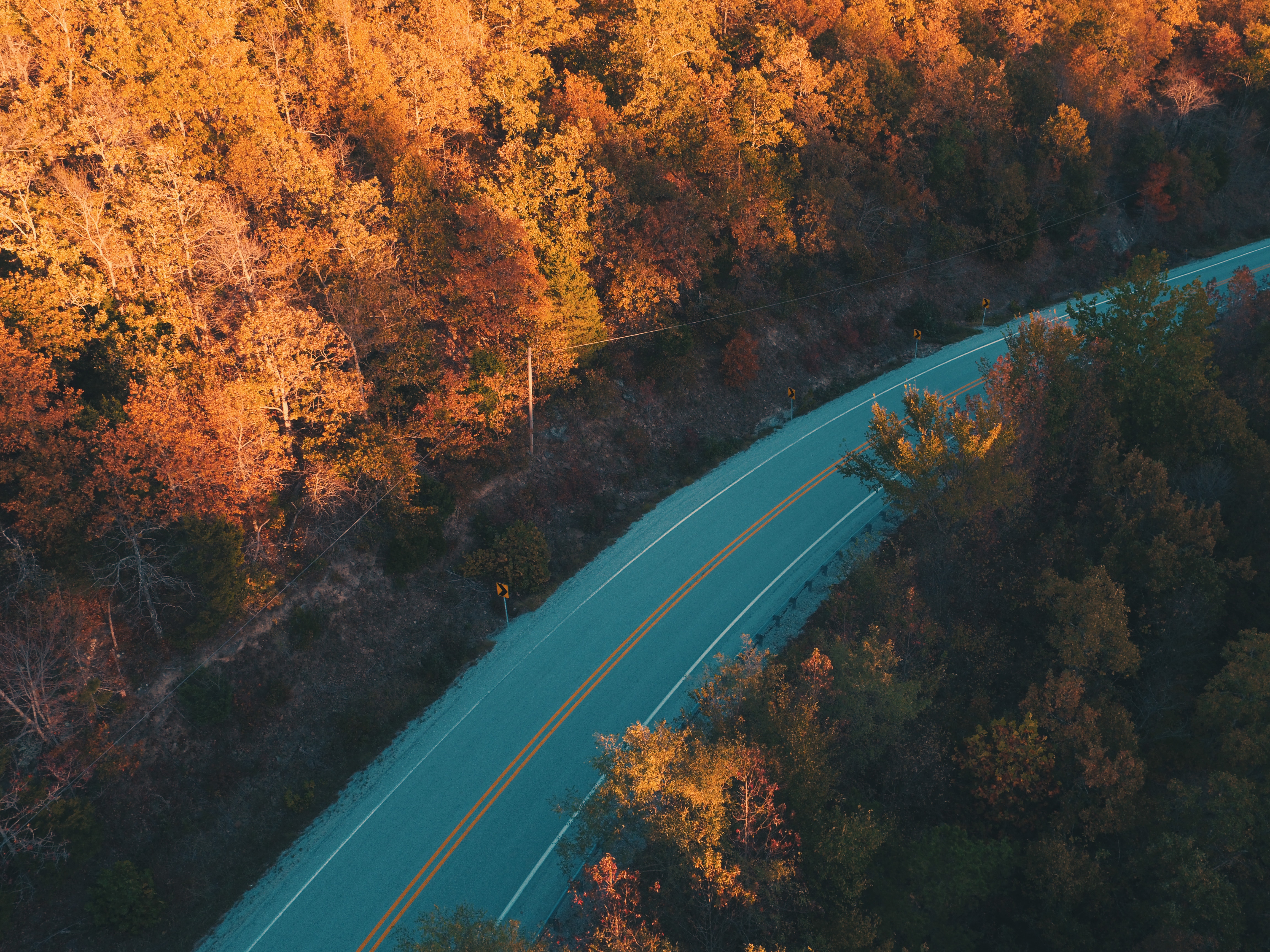 Aerial view of a road through an autumn forest HD Wallpaper