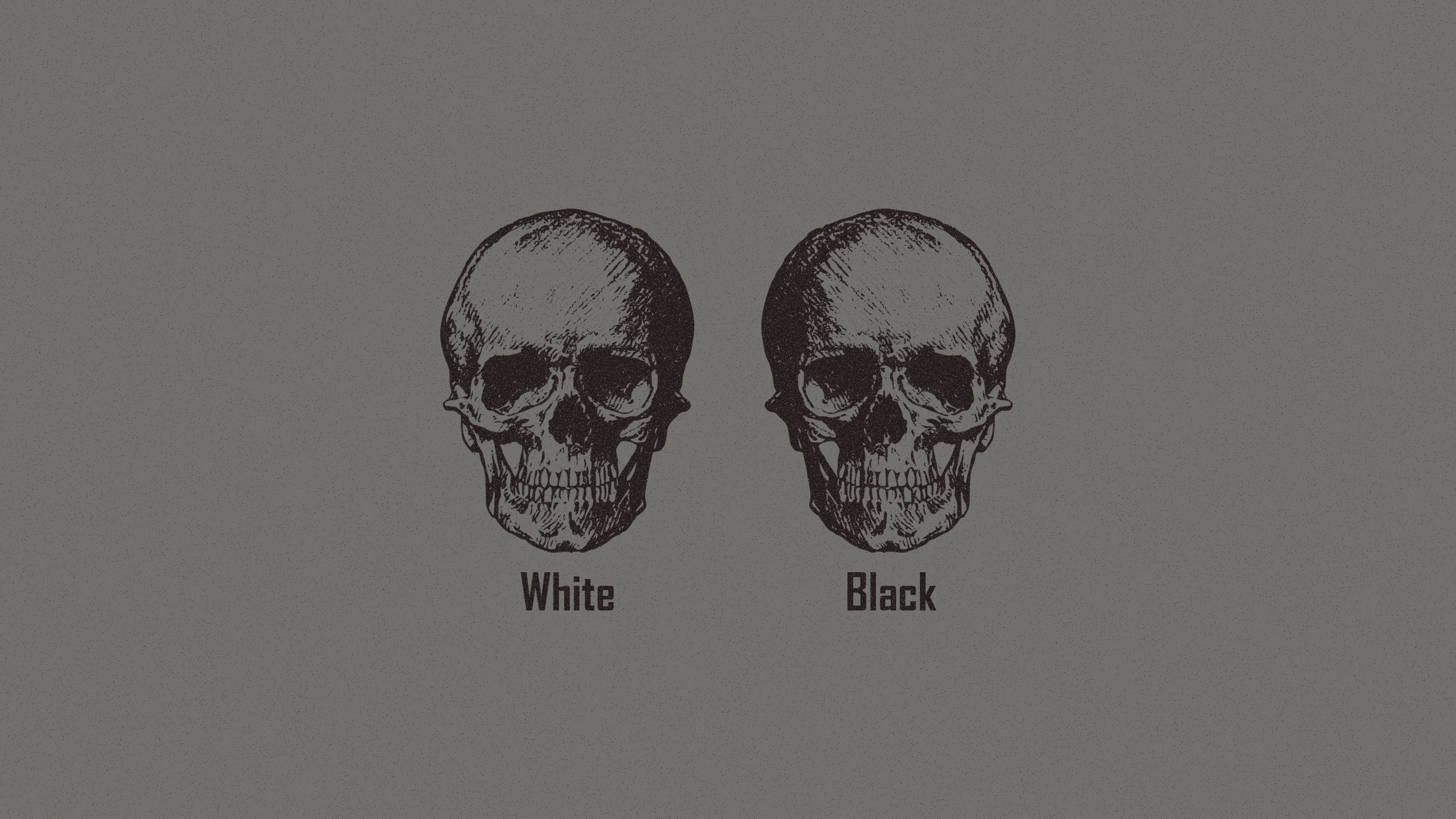 Racism, skull, monochrome, minimalism, logic HD Wallpaper