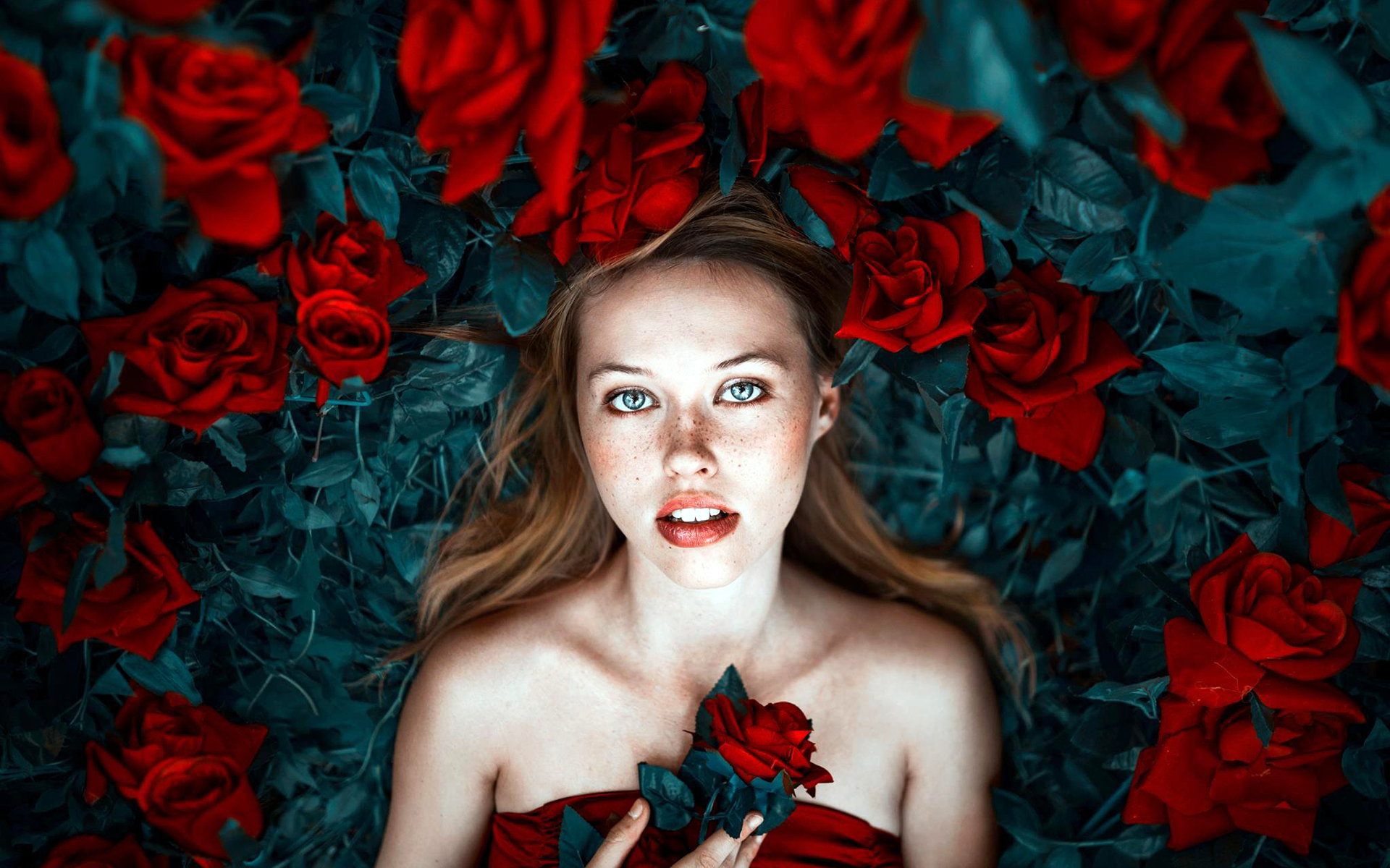 Woman with blue eyes and freckles surrounded by red roses HD Wallpaper
