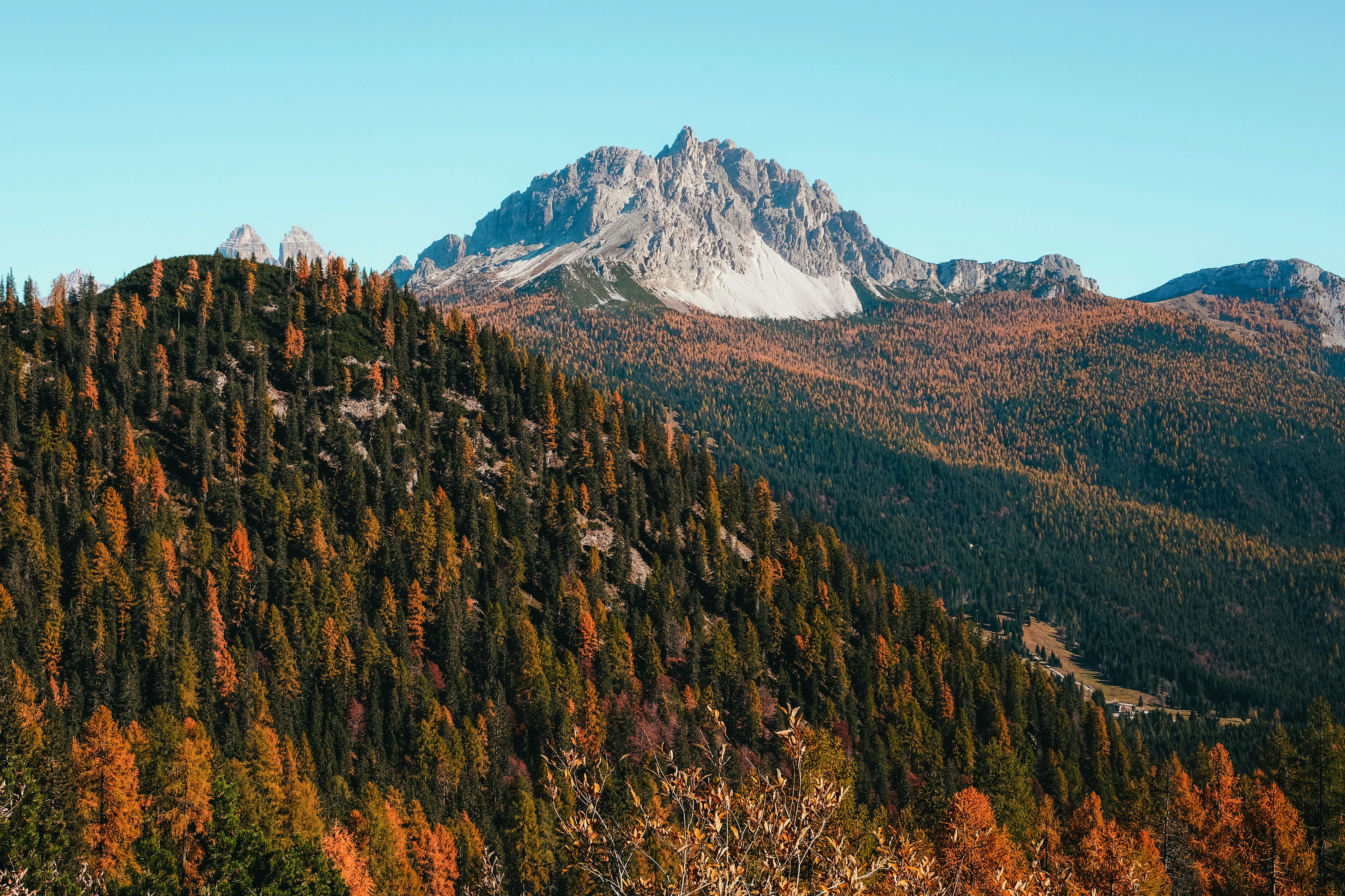 Autumn forest on a mountainside with a rocky peak HD Wallpaper