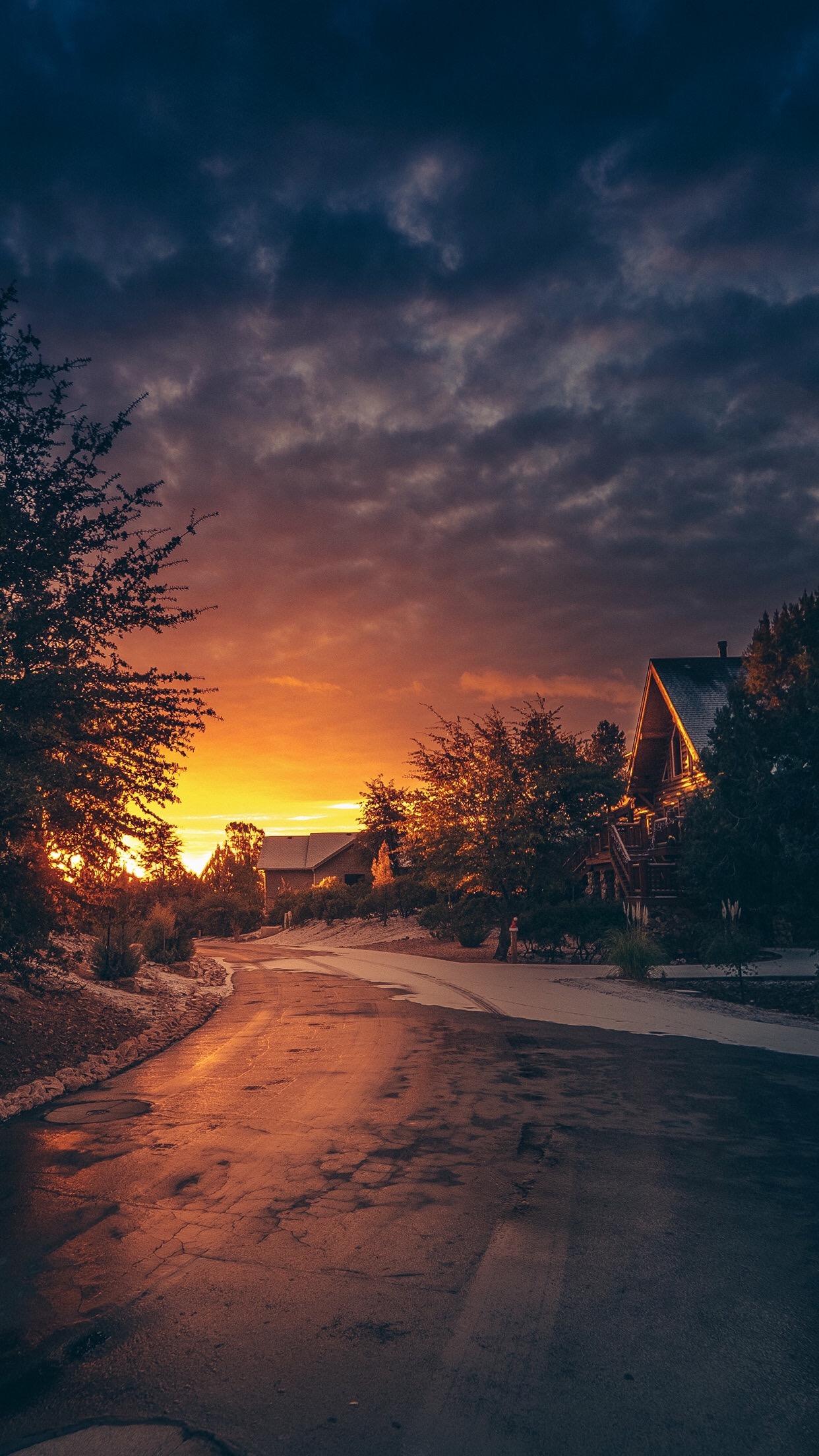 Road during sunset with houses and trees HD Wallpaper