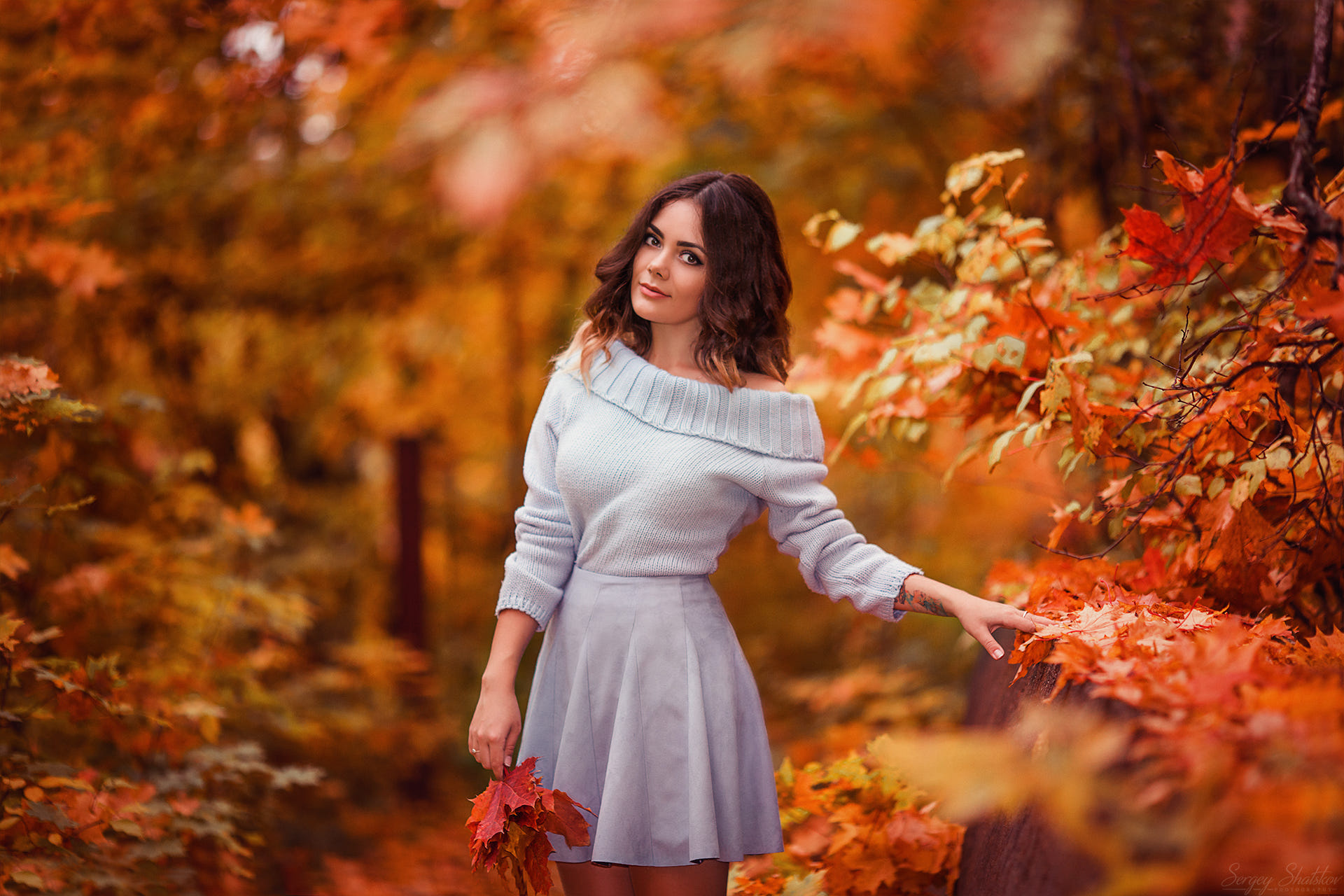 Woman in a light blue off-the-shoulder sweater and skirt holding red leaves HD Wallpaper