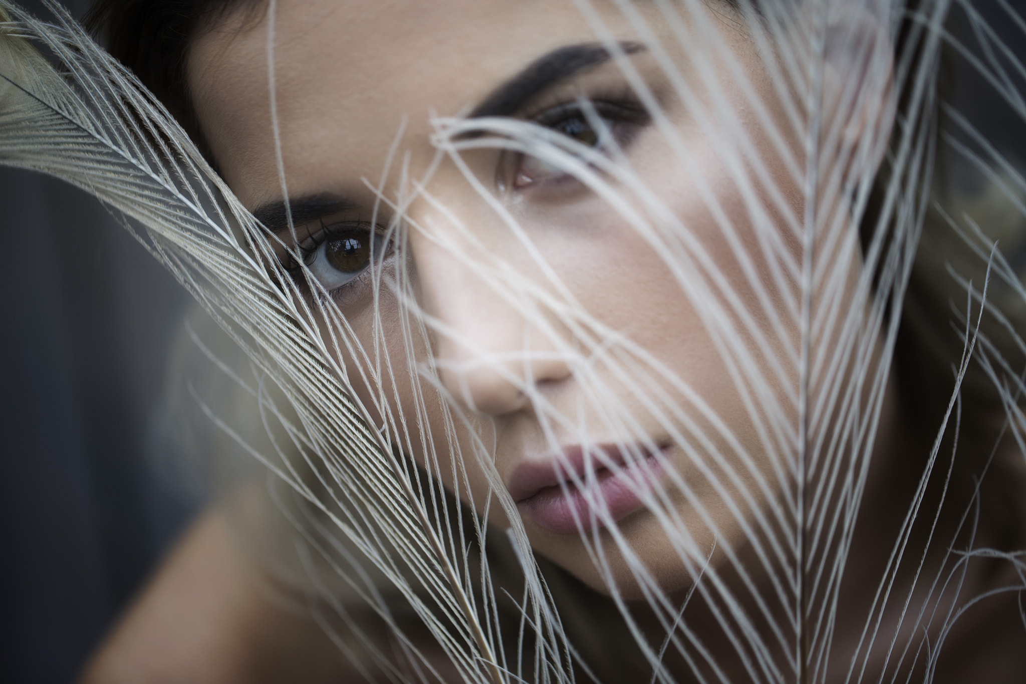 Woman with brown eyes behind feathers HD Wallpaper