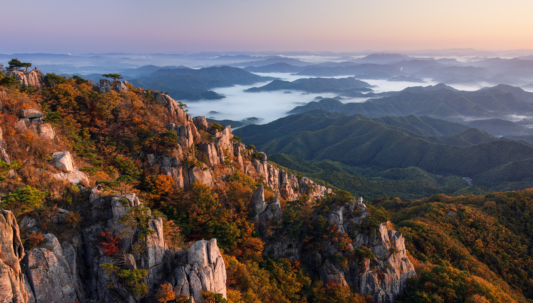 Mountain landscape with fog and autumn foliage HD Wallpaper