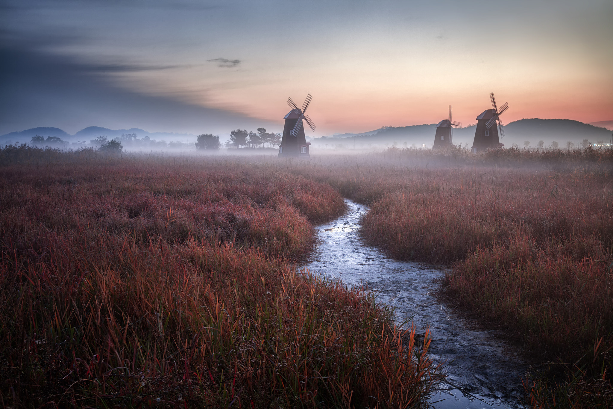Windmills in mist at sunrise over a field HD Wallpaper