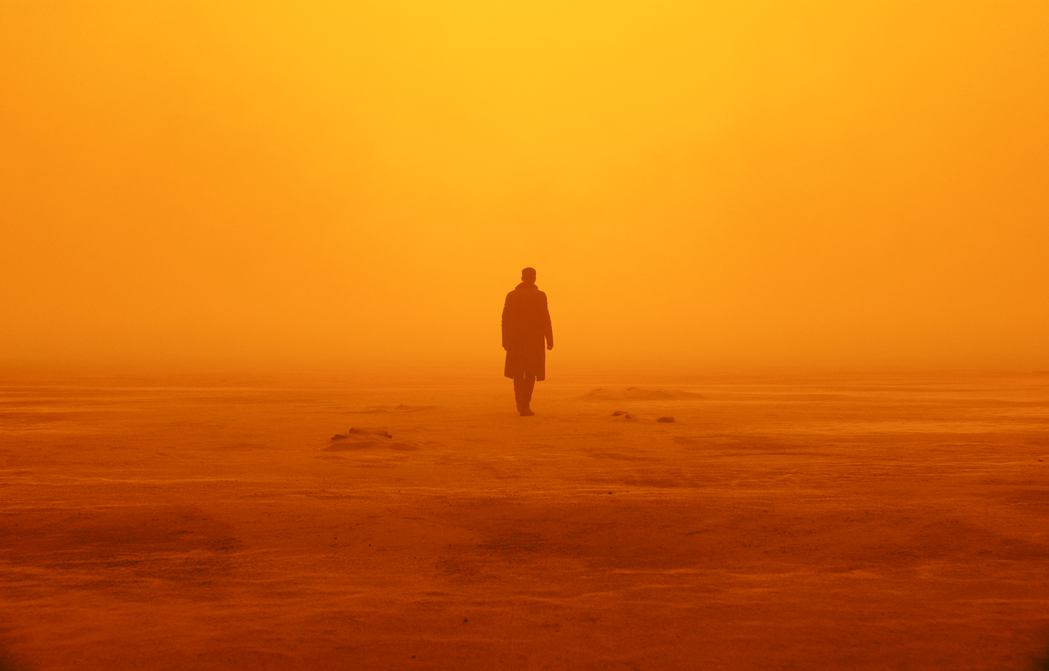 Officer K from Blade Runner 2049 HD Wallpaper