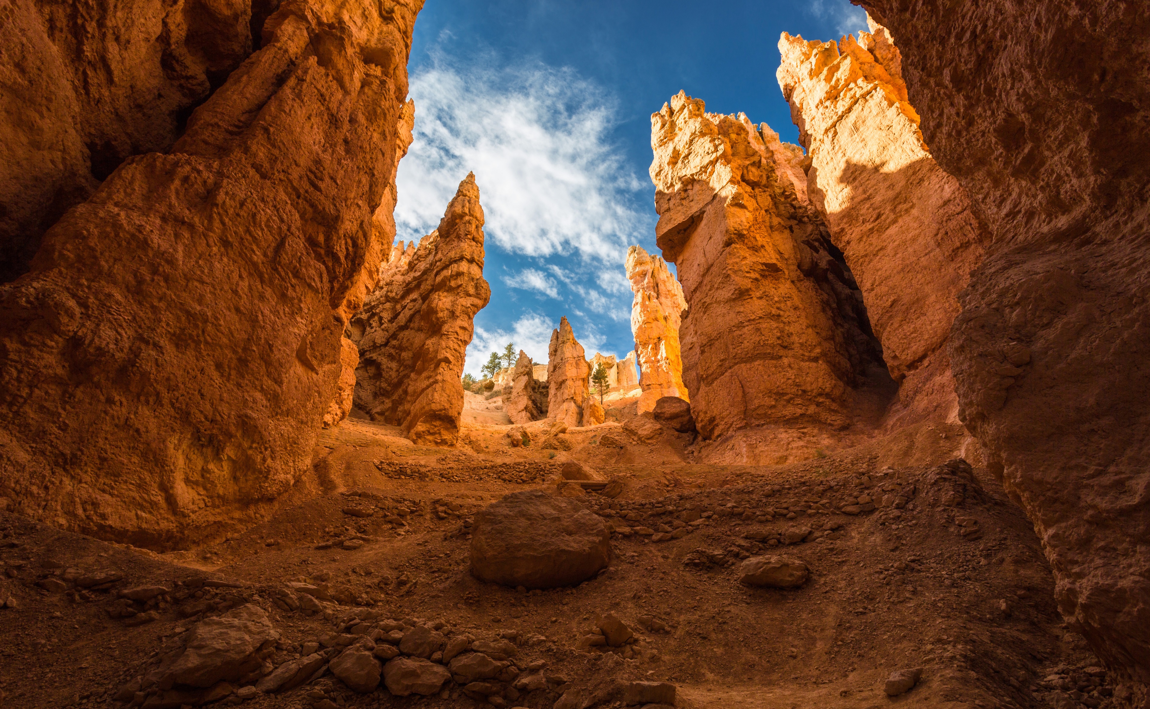 Bryce Canyon National Park hoodoos under blue sky HD Wallpaper