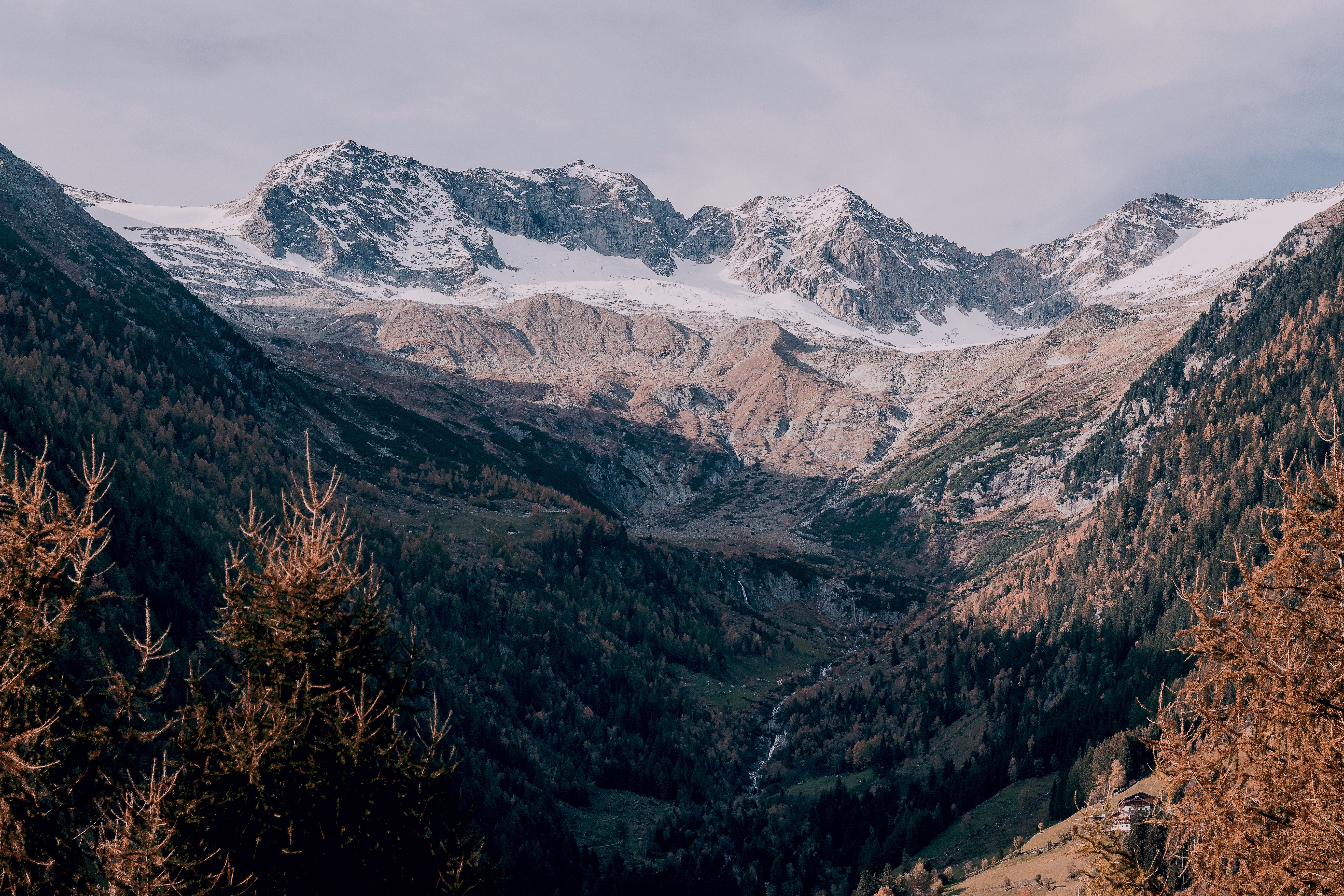 Snow-capped mountains and forested valley HD Wallpaper