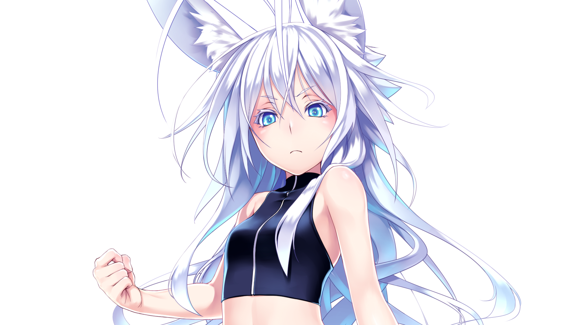 Anime girl with white hair and cat ears HD Wallpaper
