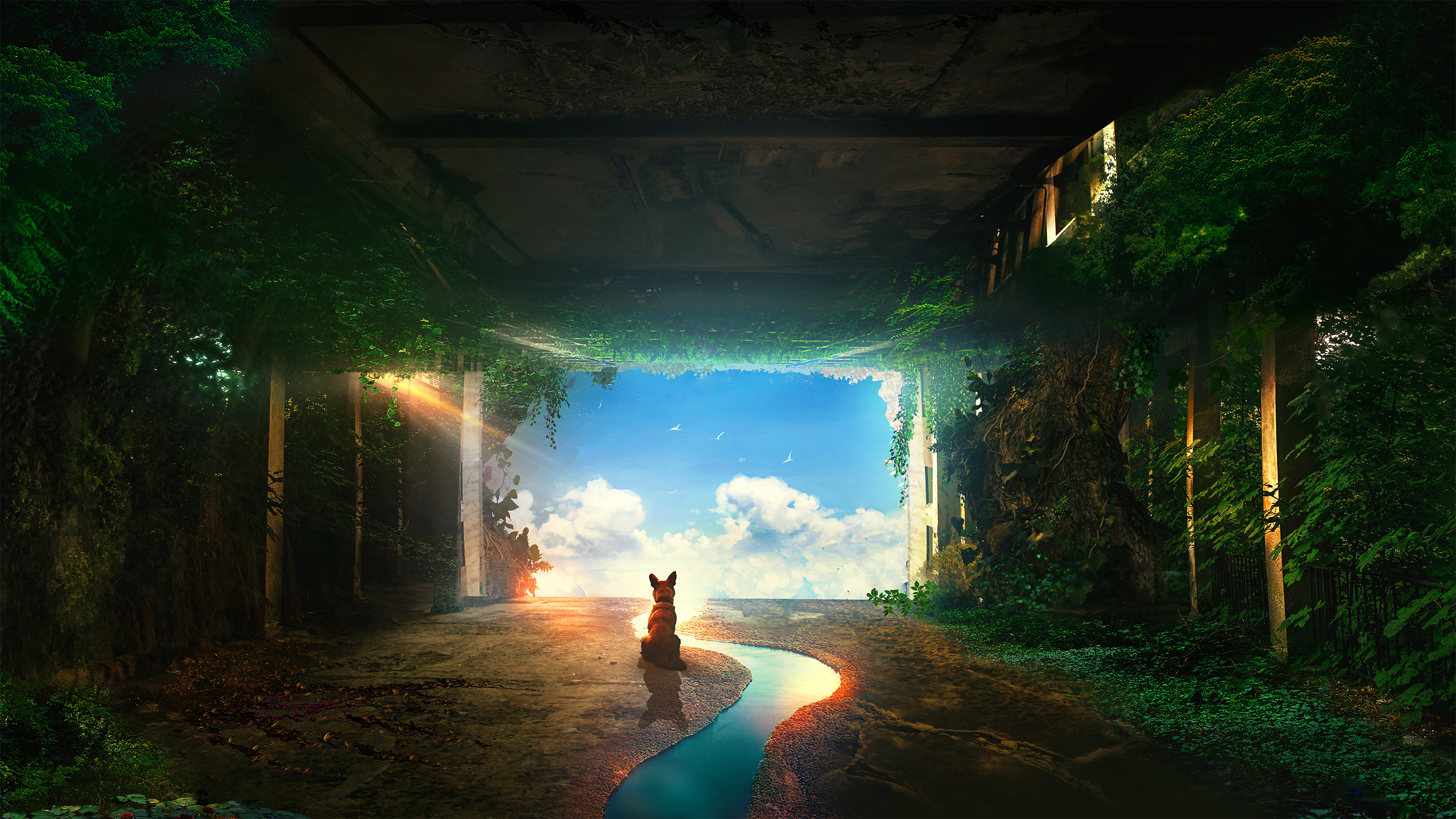 Dog sitting by a stream in overgrown ruins HD Wallpaper