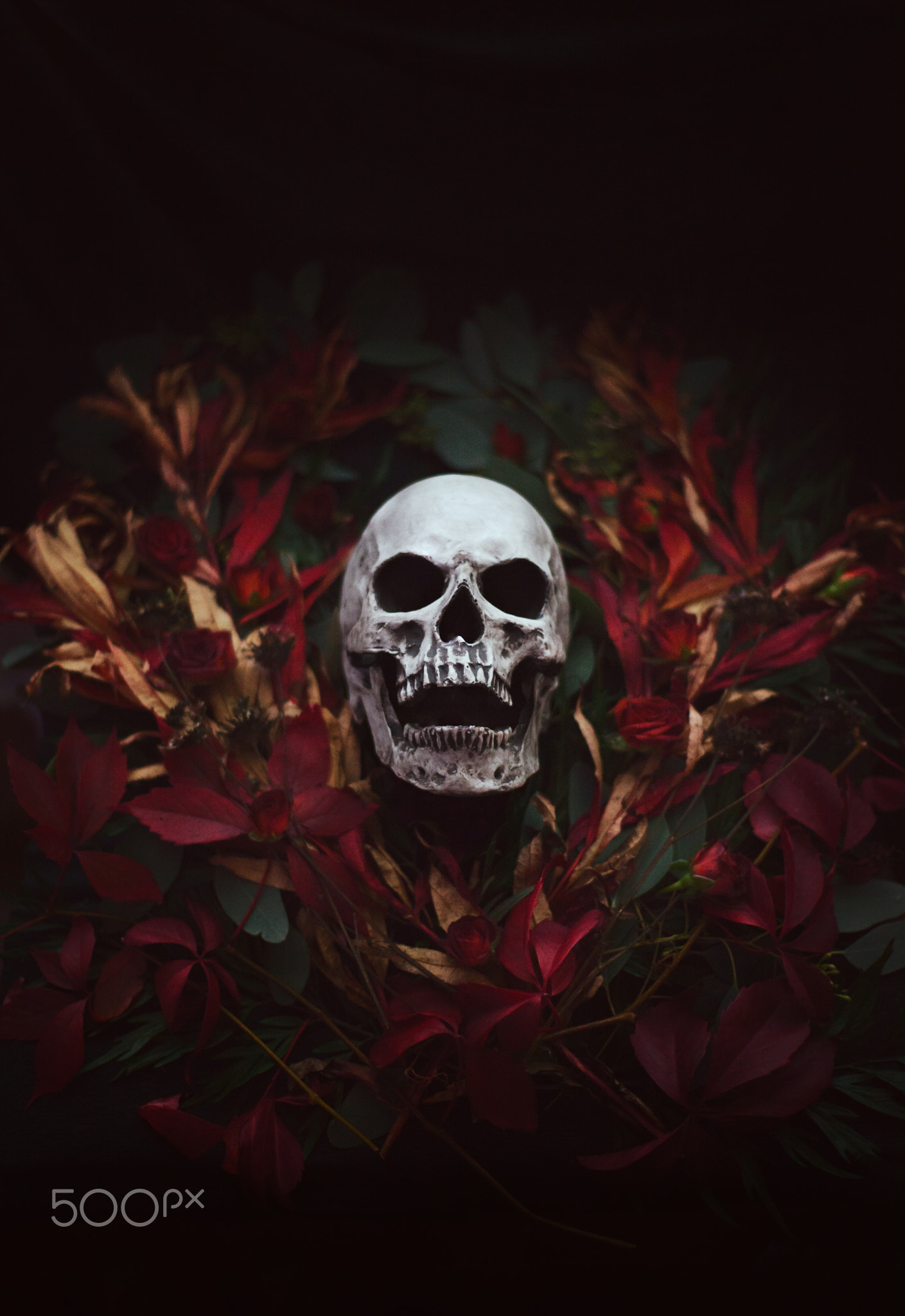 Skull surrounded by red and green foliage HD Wallpaper