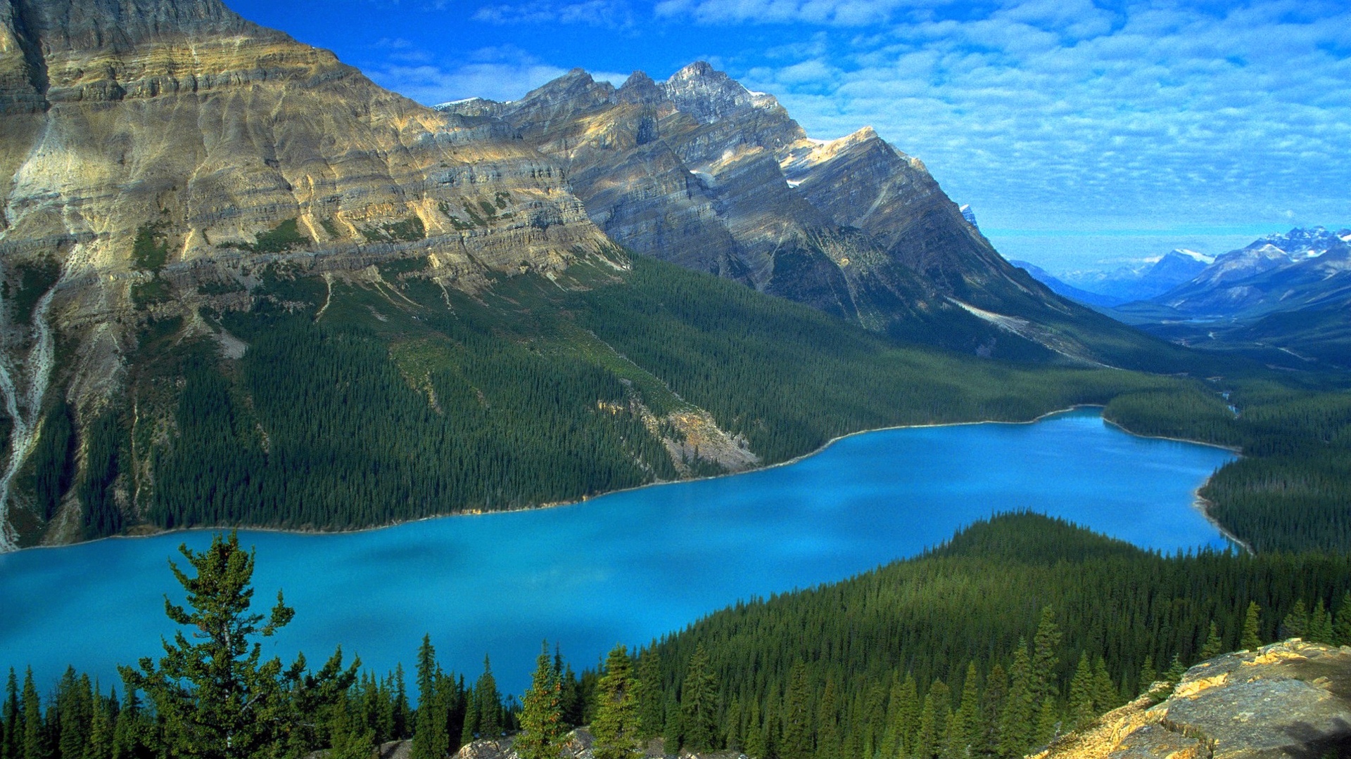 Turquoise lake and mountains with pine forest HD Wallpaper