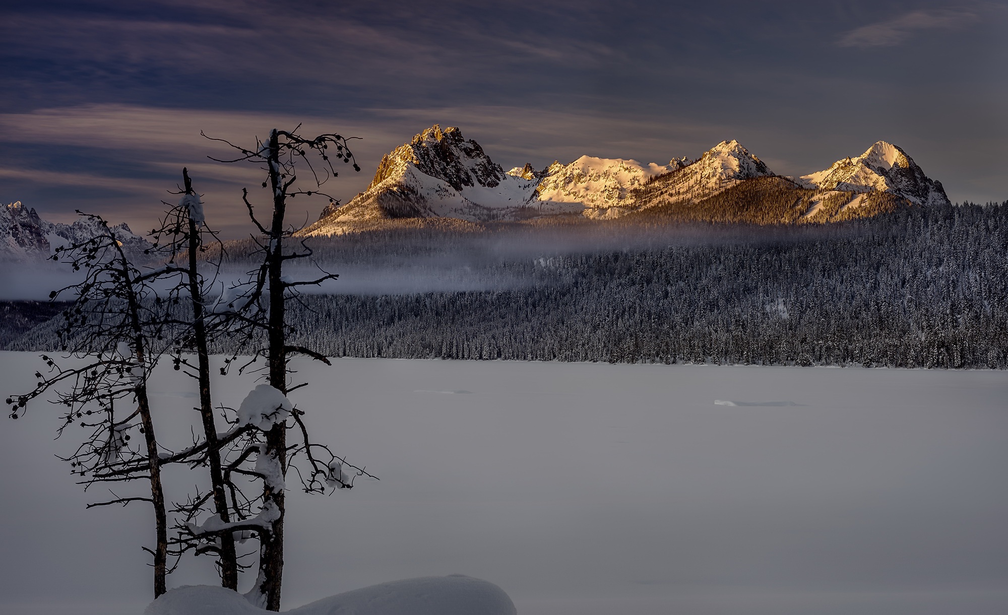 Snowy mountains and trees at sunrise HD Wallpaper
