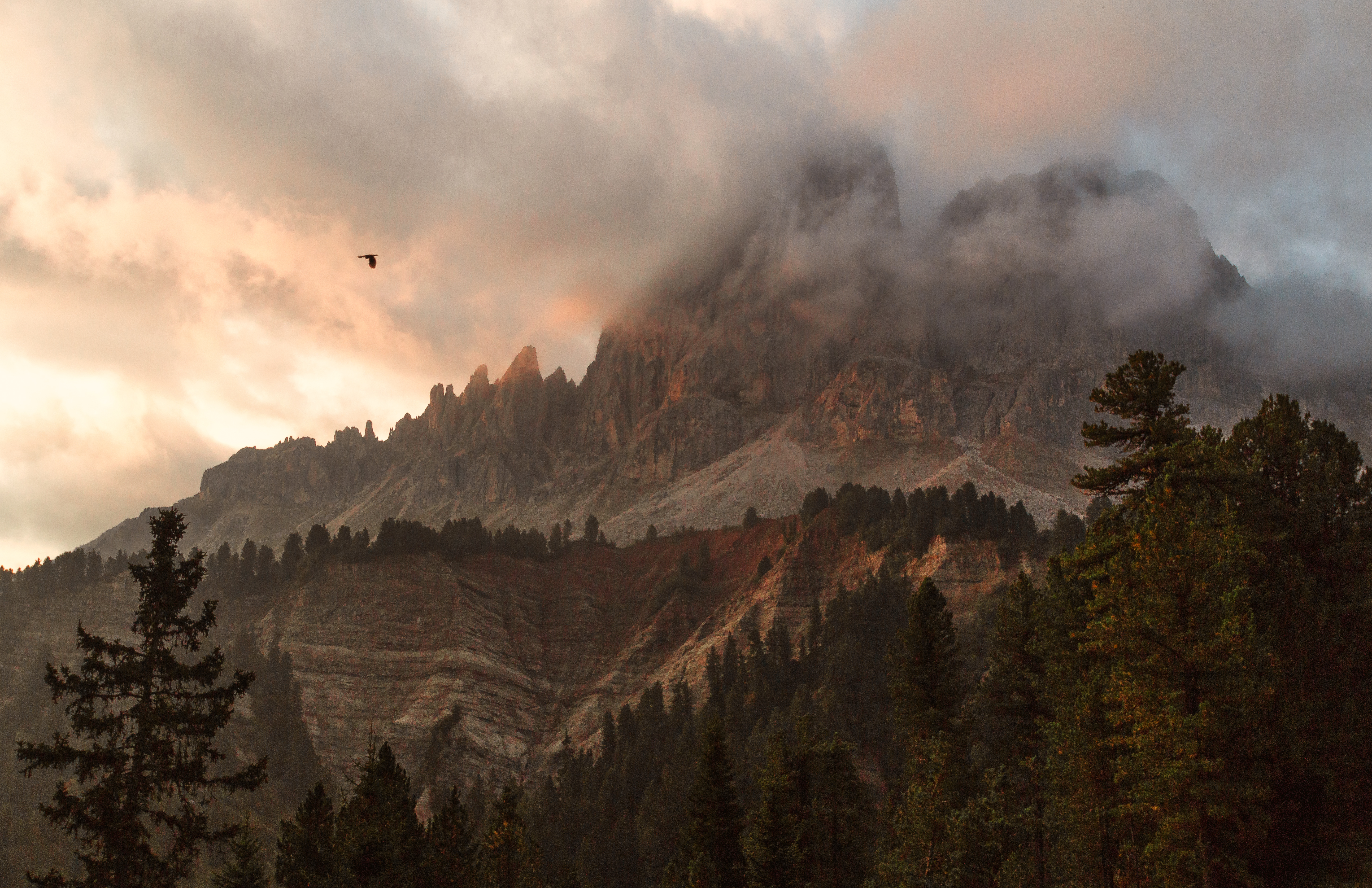 Bird flying over misty mountains at sunset HD Wallpaper
