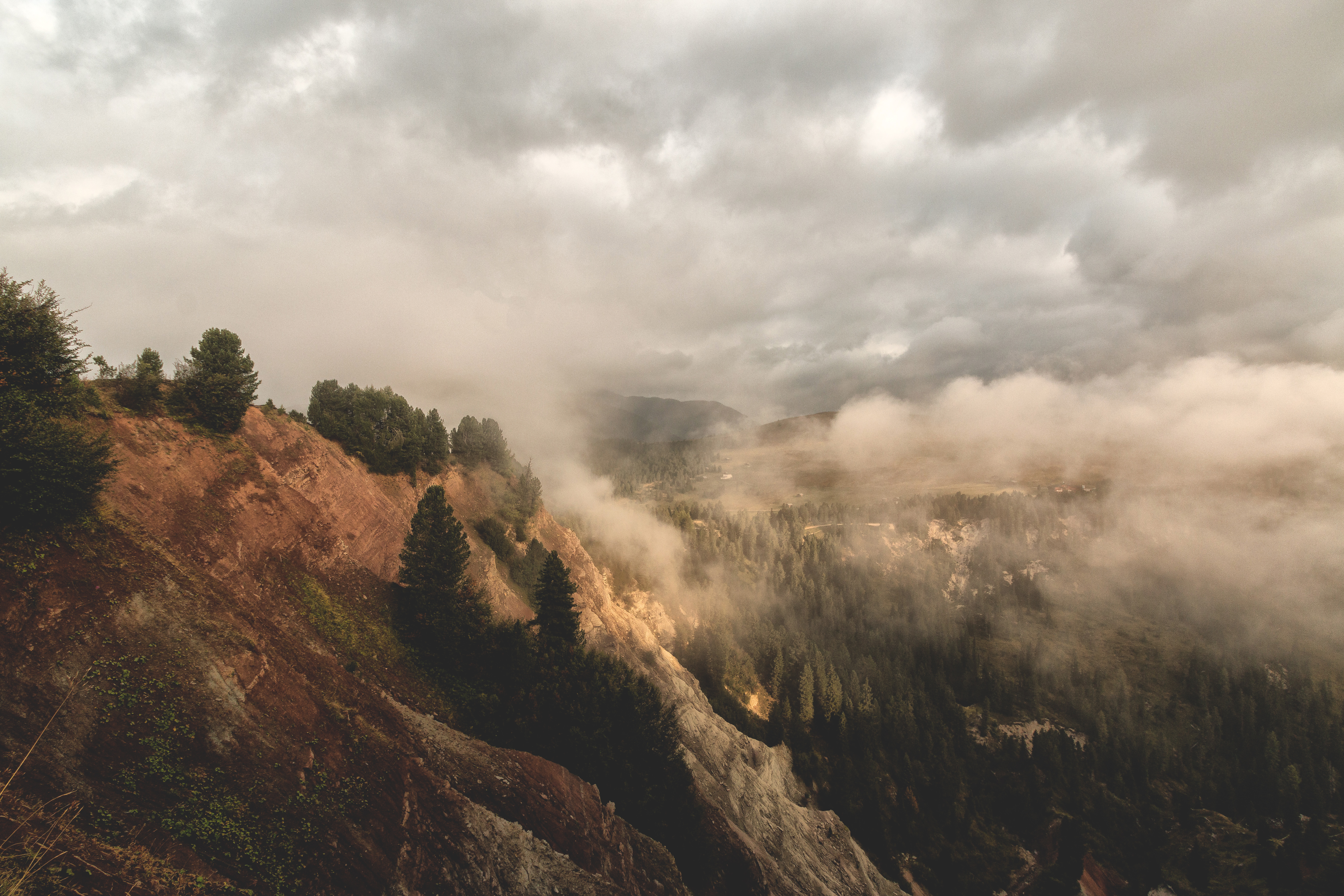 Misty mountain landscape with pine forest and rocky cliff HD Wallpaper