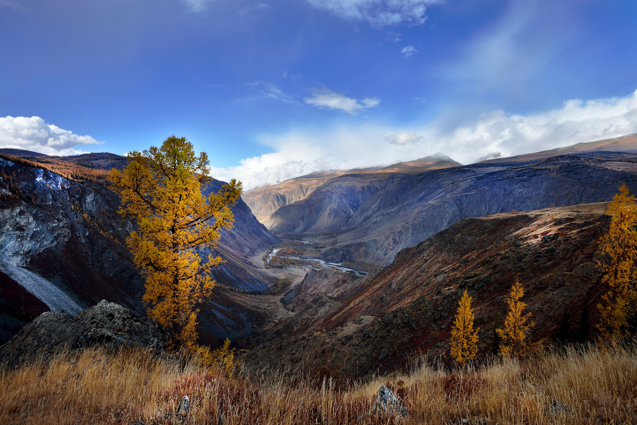 Autumn mountain valley with a river and yellow trees HD Wallpaper