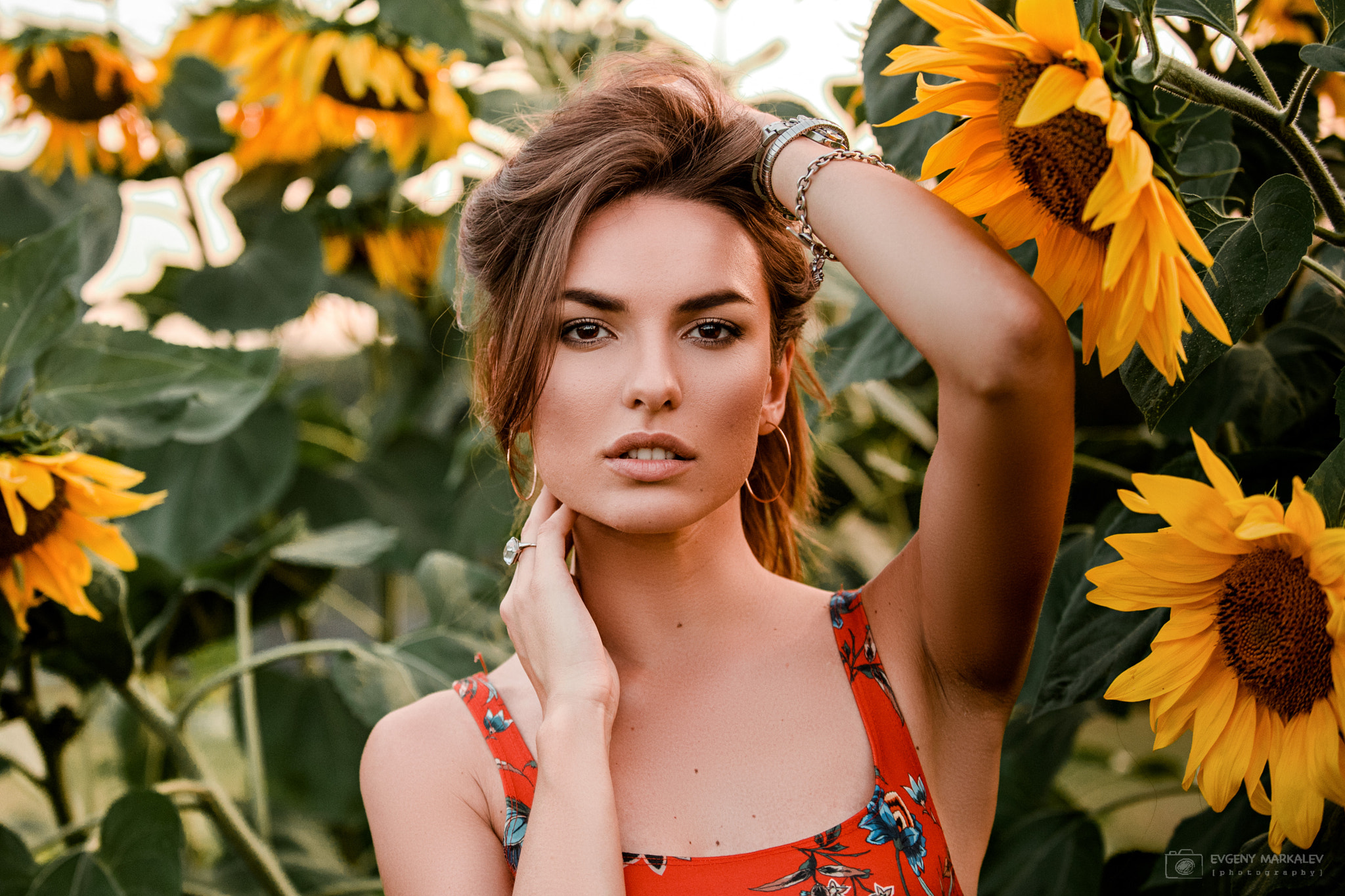Woman in a sunflower field HD Wallpaper