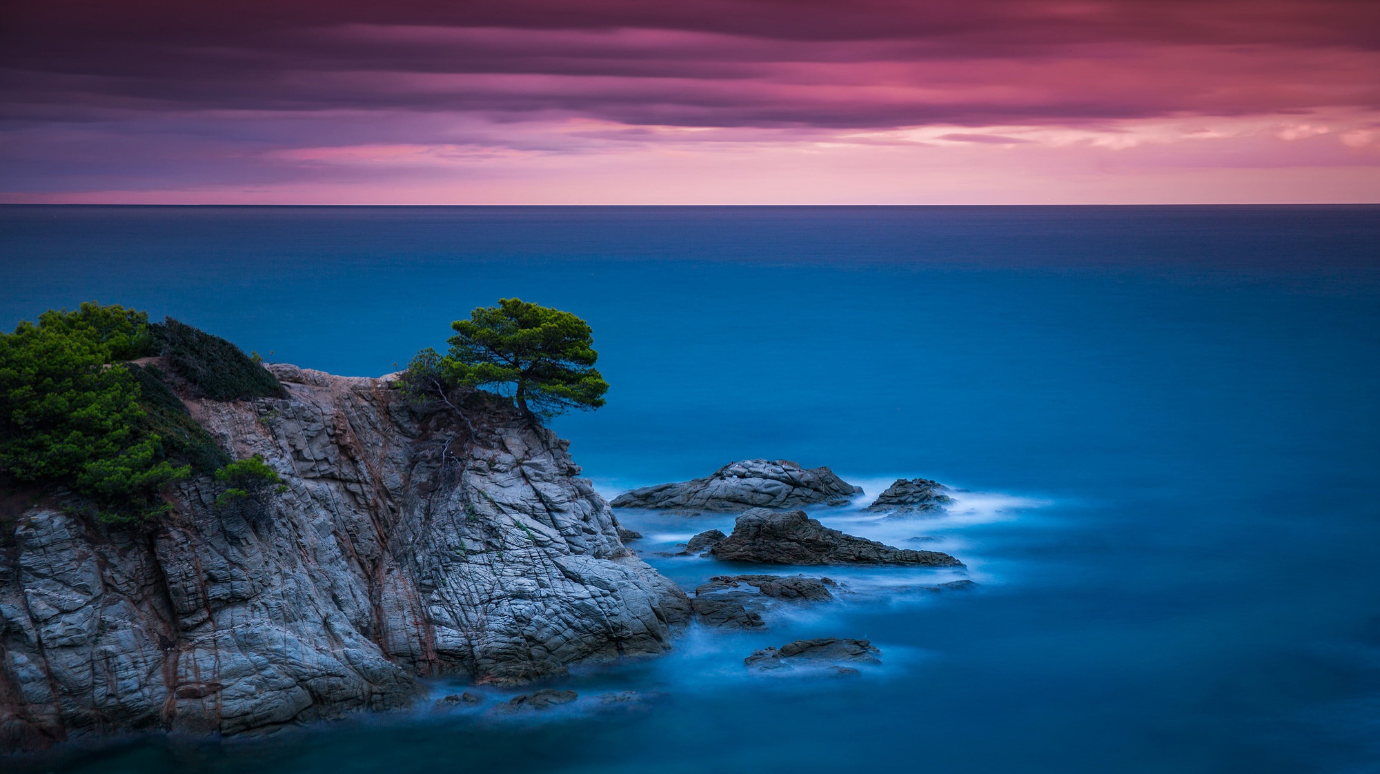 Rocky coastline with a lone tree overlooking the sea at sunset HD Wallpaper