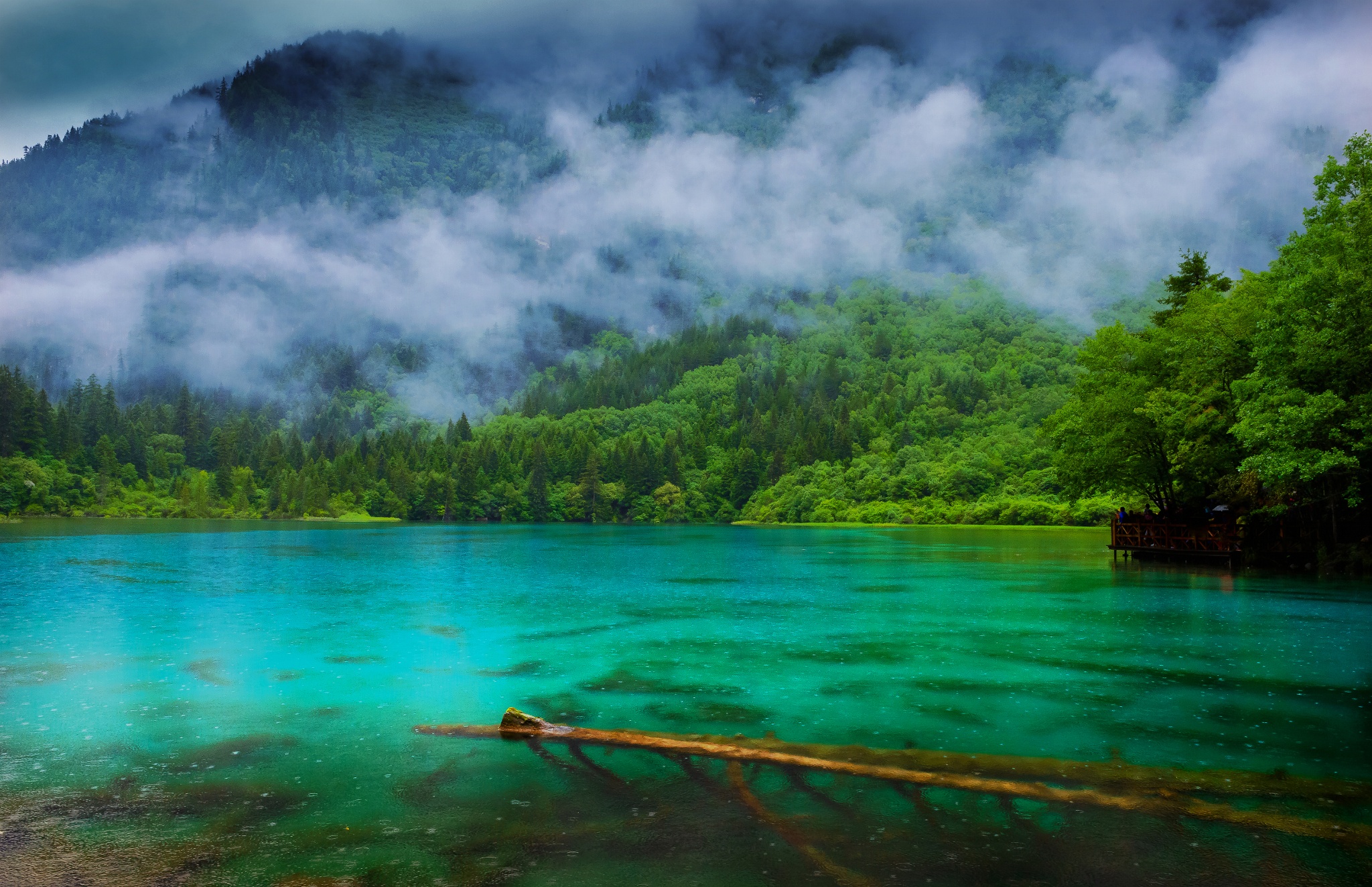 Turquoise lake surrounded by green forest and misty mountains HD Wallpaper