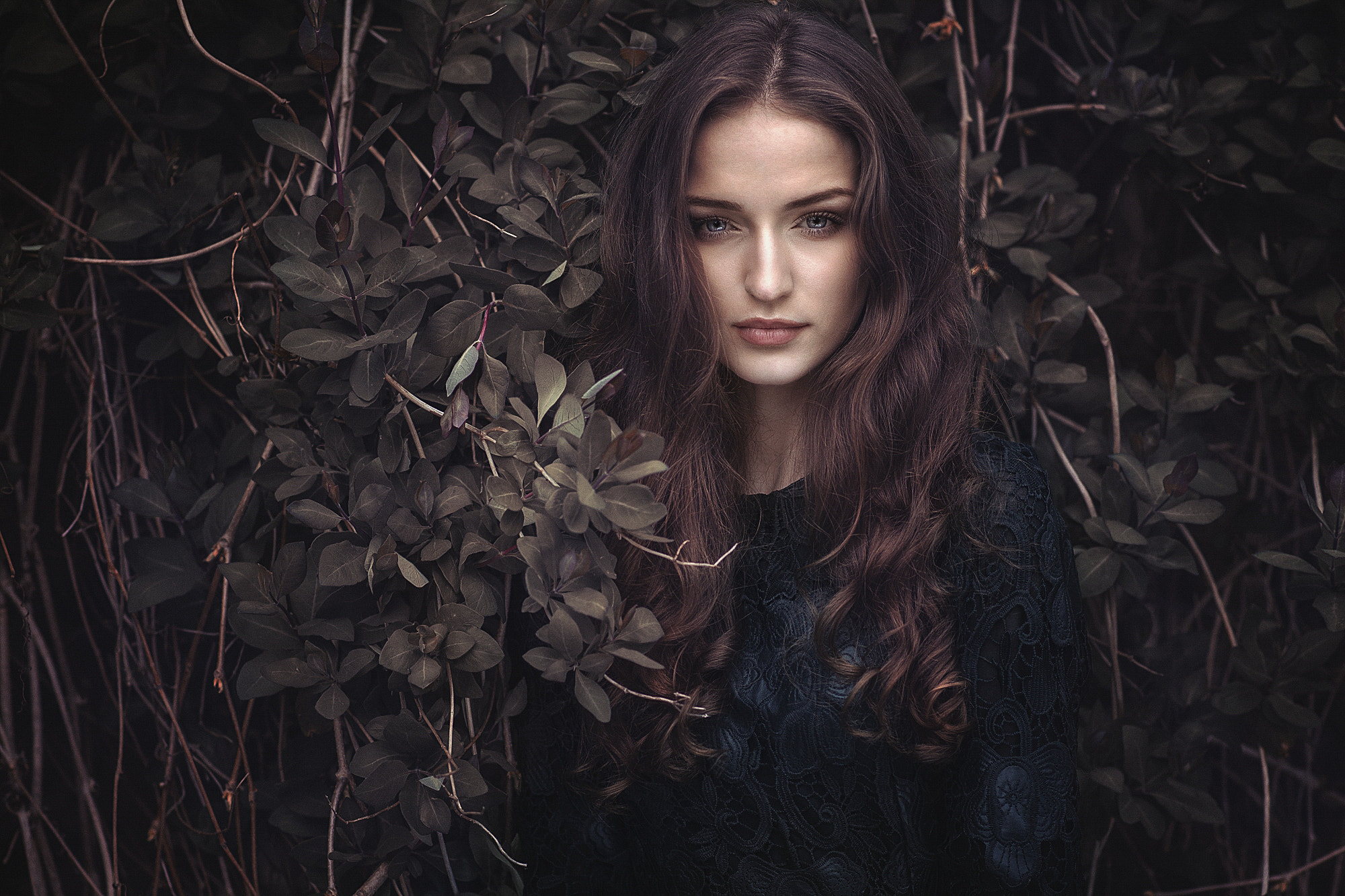 Woman with long brown hair in front of dark foliage HD Wallpaper