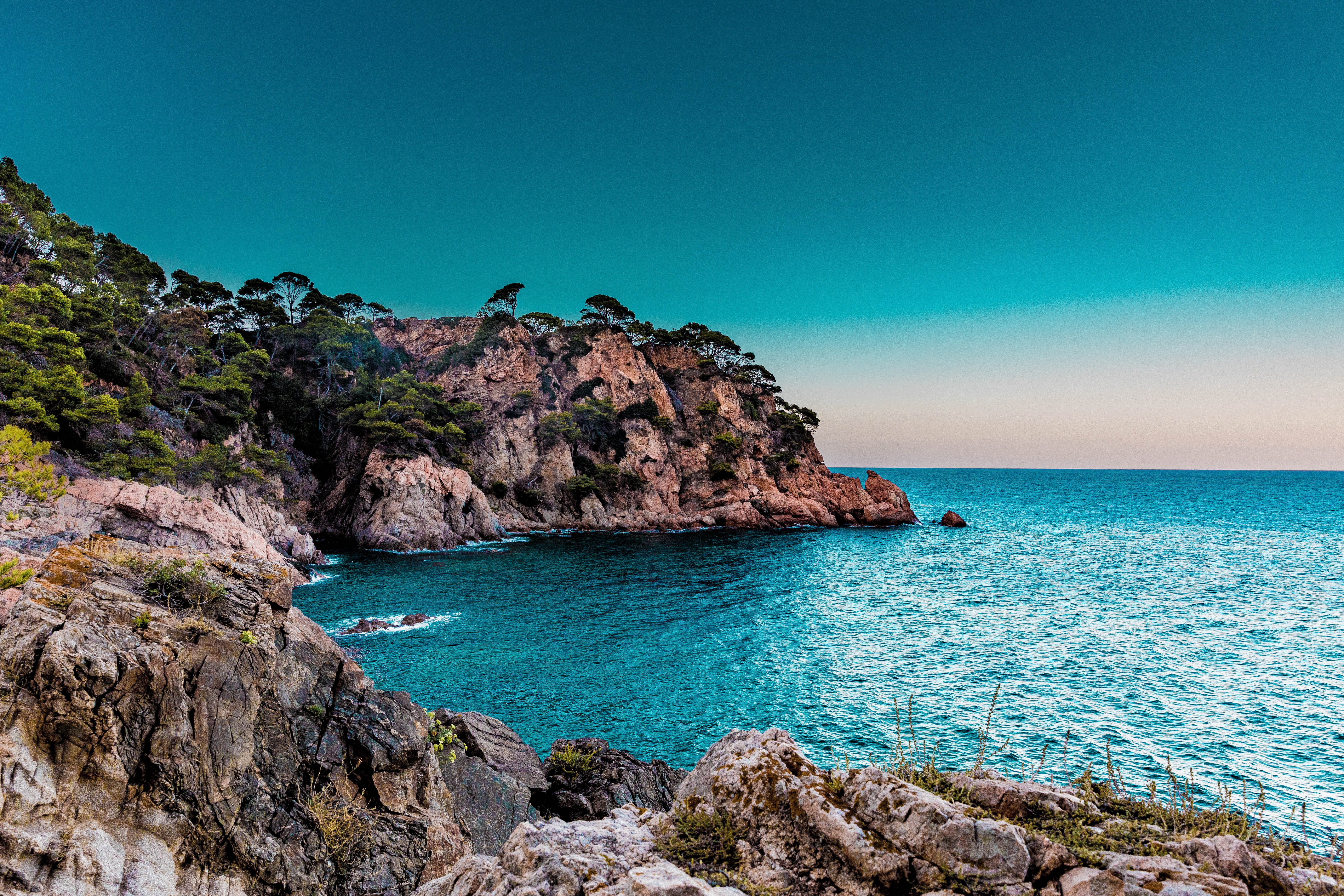 Rocky coastline with trees and blue ocean HD Wallpaper