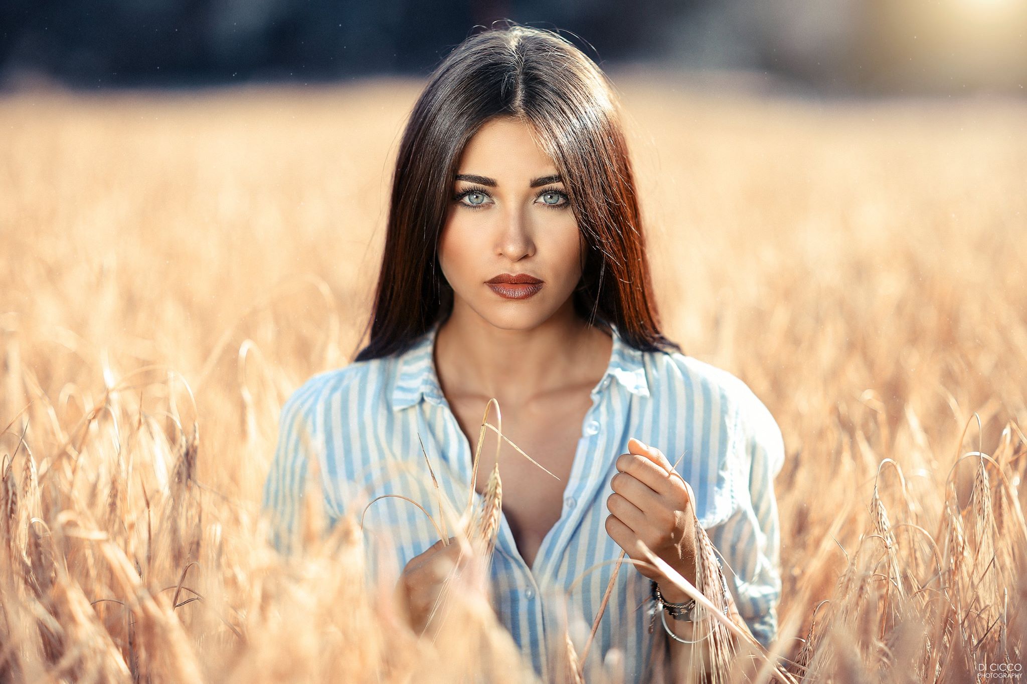 Woman in striped shirt in a wheat field HD Wallpaper