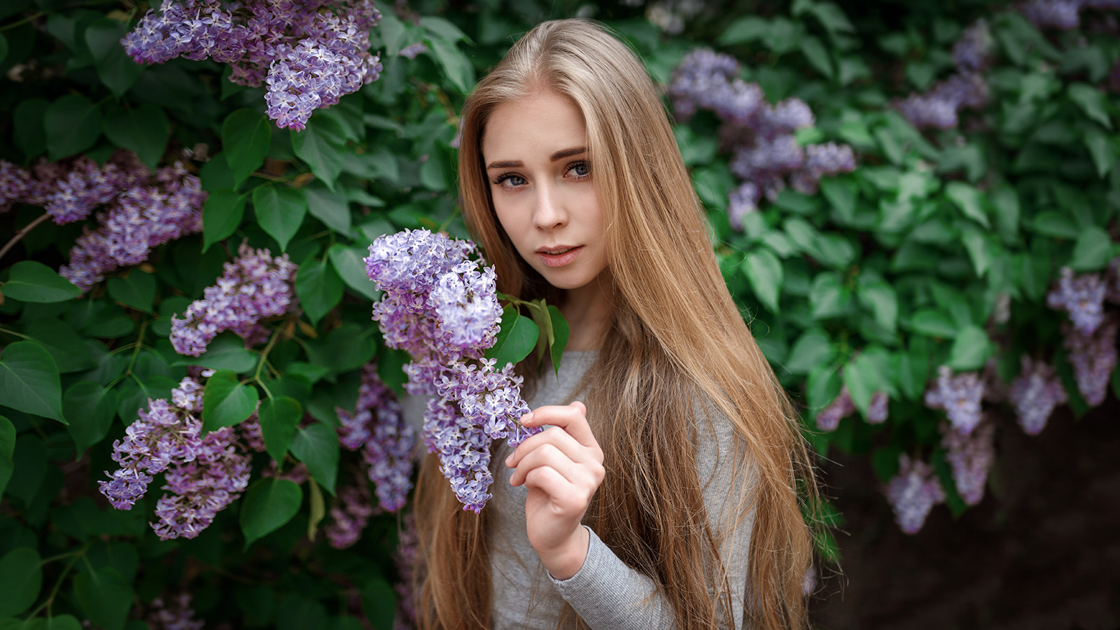 Young woman with long blonde hair near lilac bush HD Wallpaper