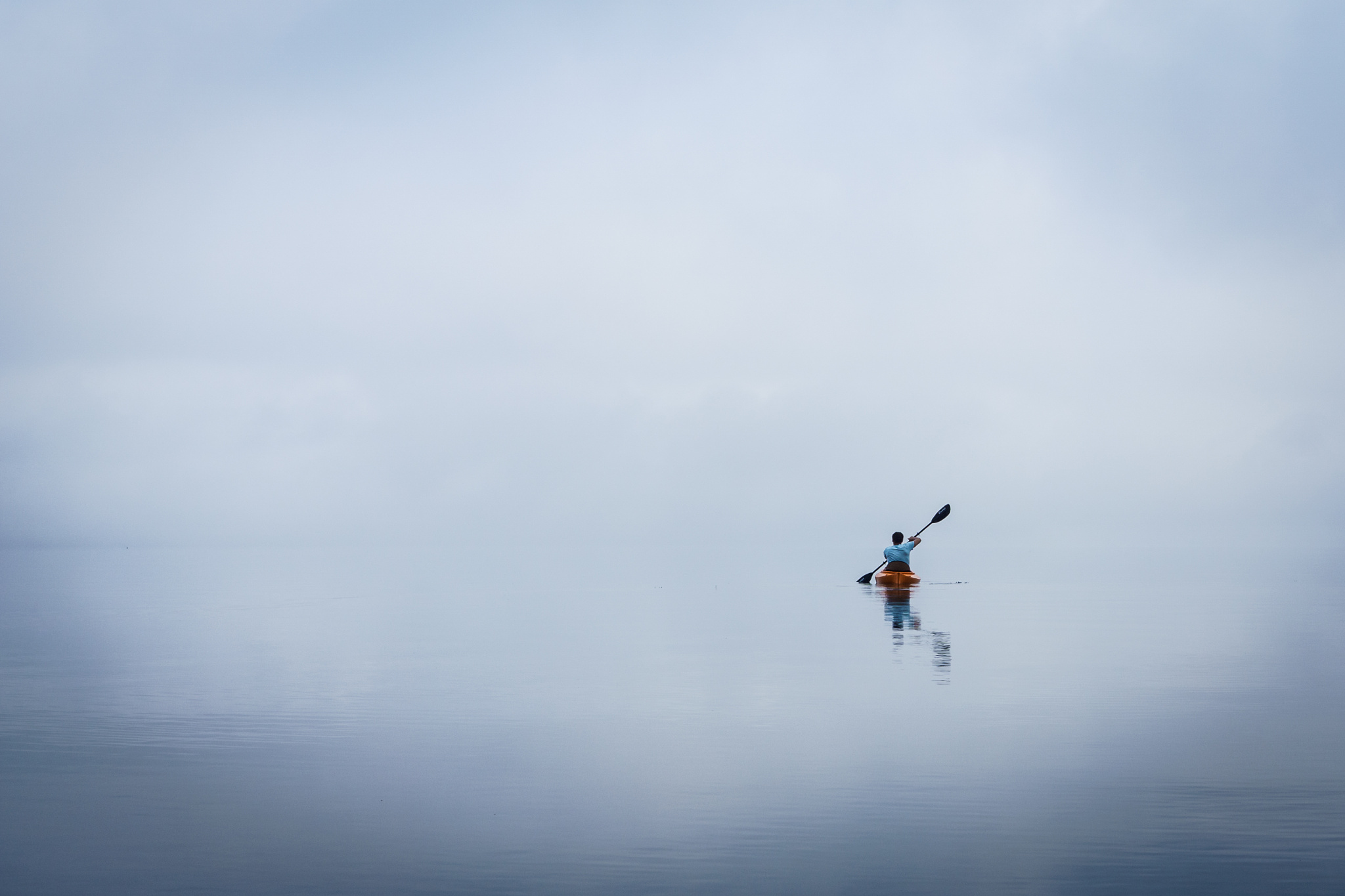 Person kayaking on a foggy lake HD Wallpaper