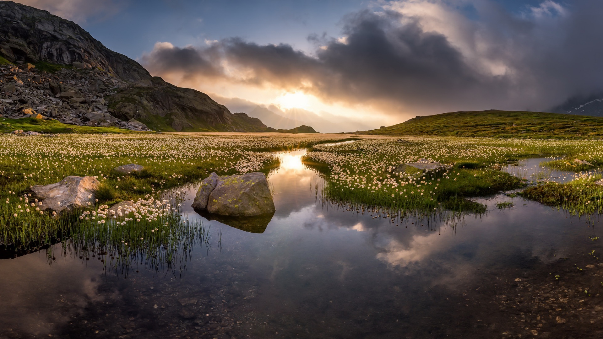 Mountain lake with cotton grass and reflection HD Wallpaper