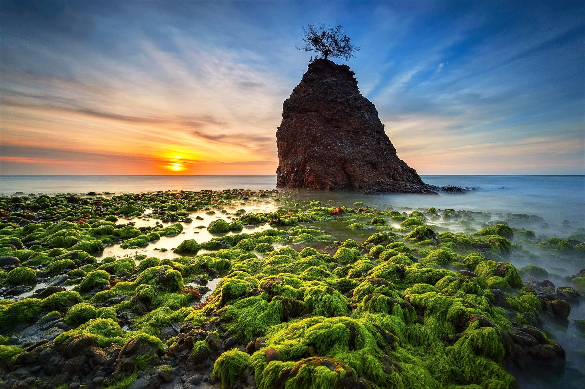Sunset over mossy rocks and a sea stack HD Wallpaper