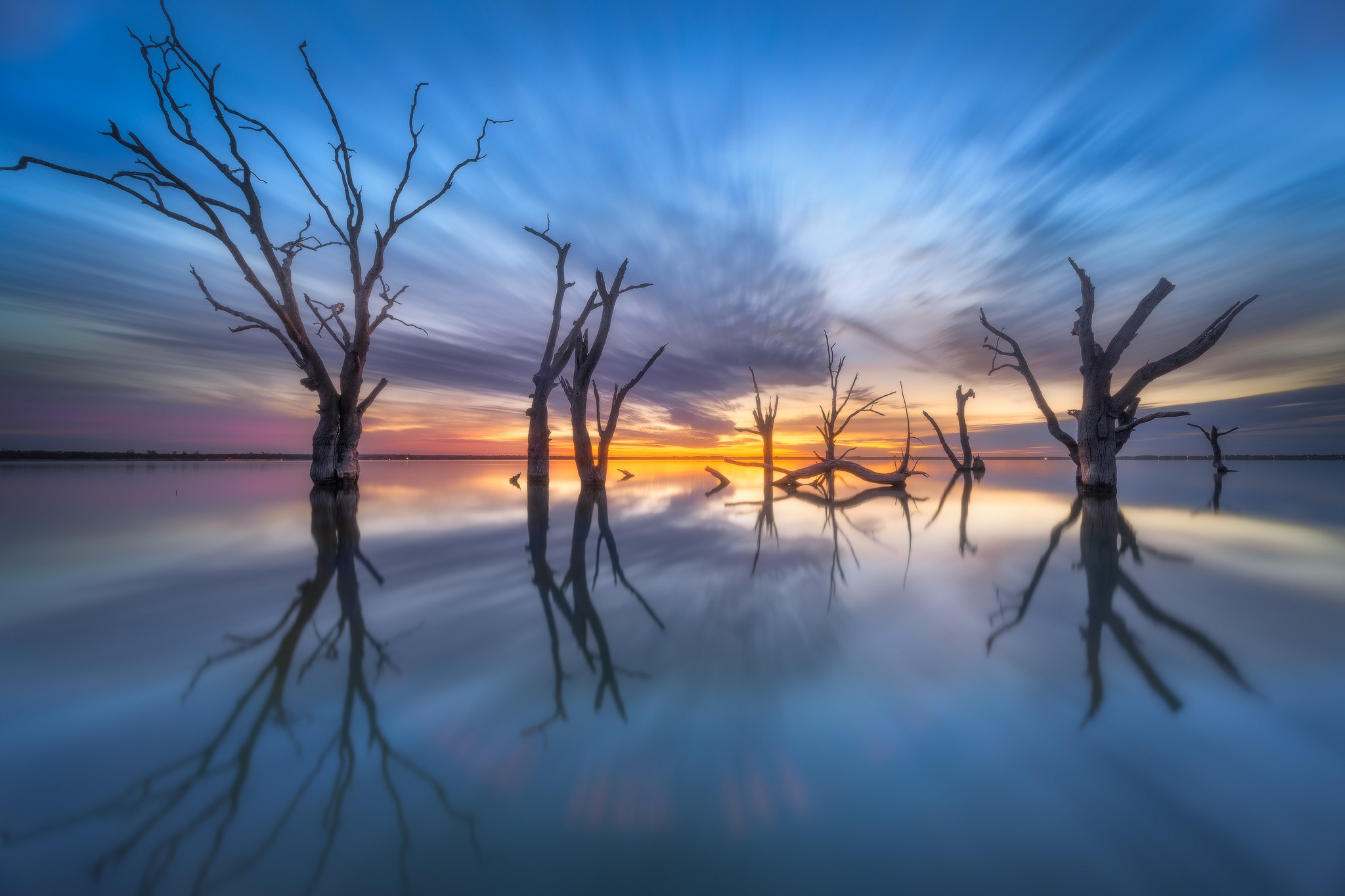 Dead trees in water at sunset landscape HD Wallpaper