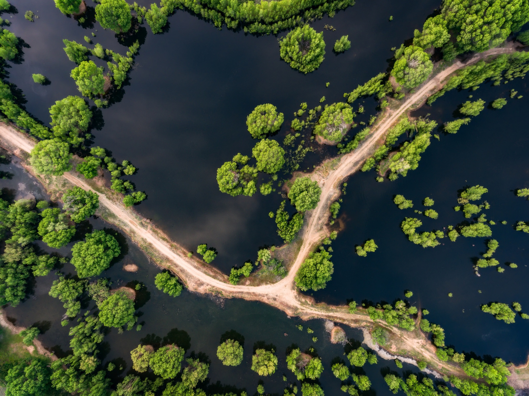 Aerial view of a flooded landscape with trees and a dirt road HD Wallpaper