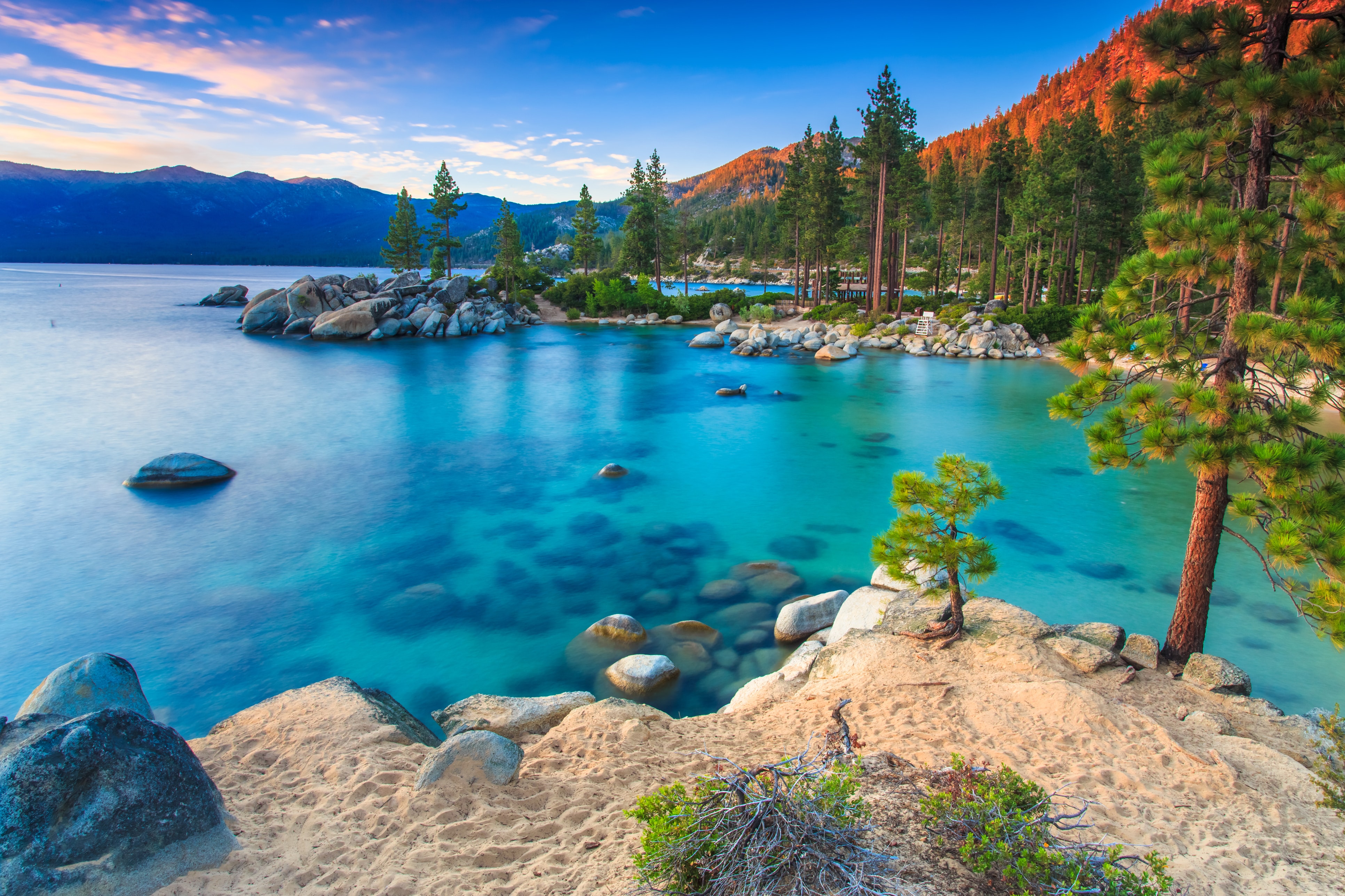 Lake Tahoe landscape with clear blue water and pine trees HD Wallpaper