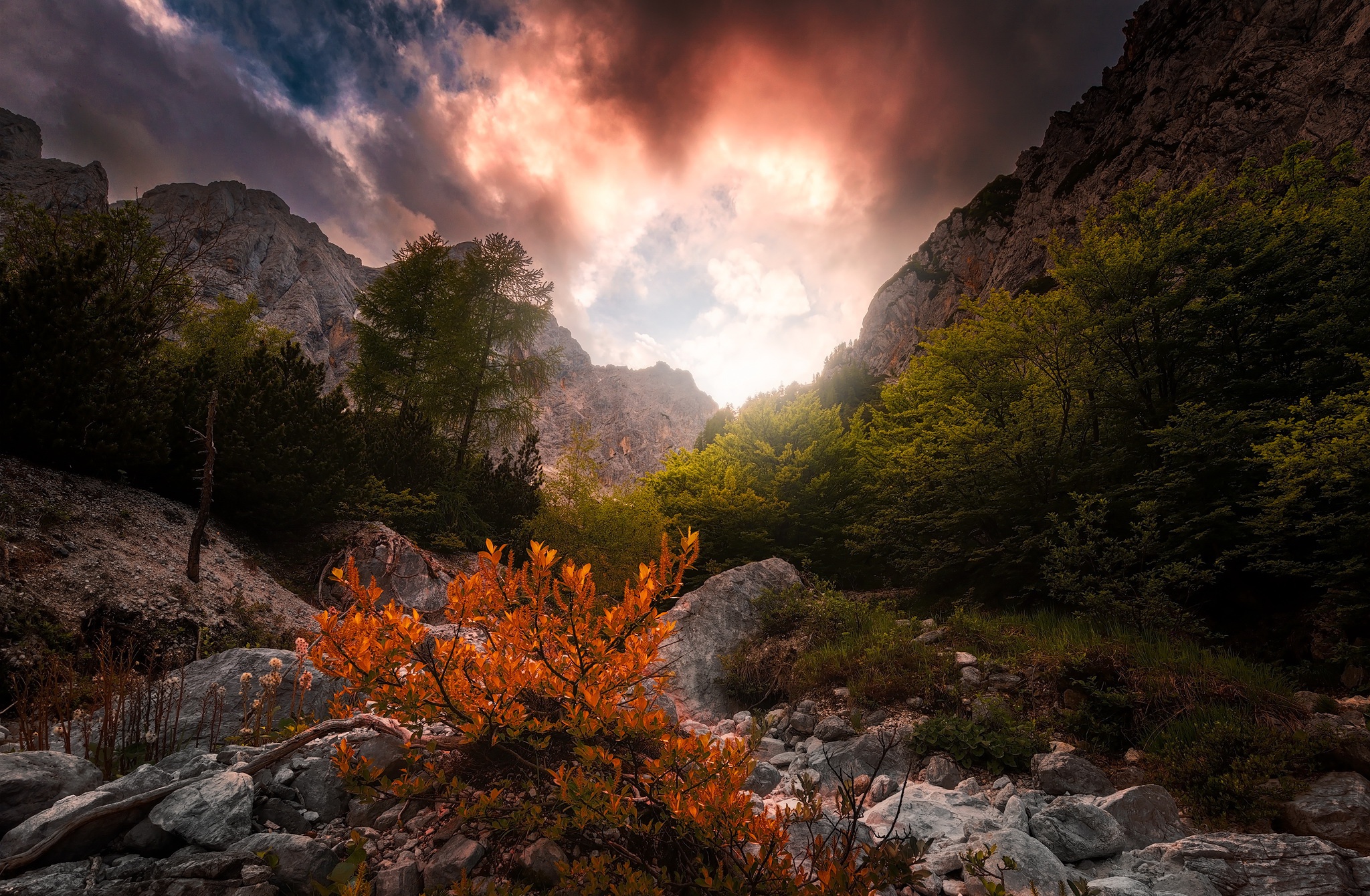 Mountain valley with dramatic clouds and autumn foliage HD Wallpaper