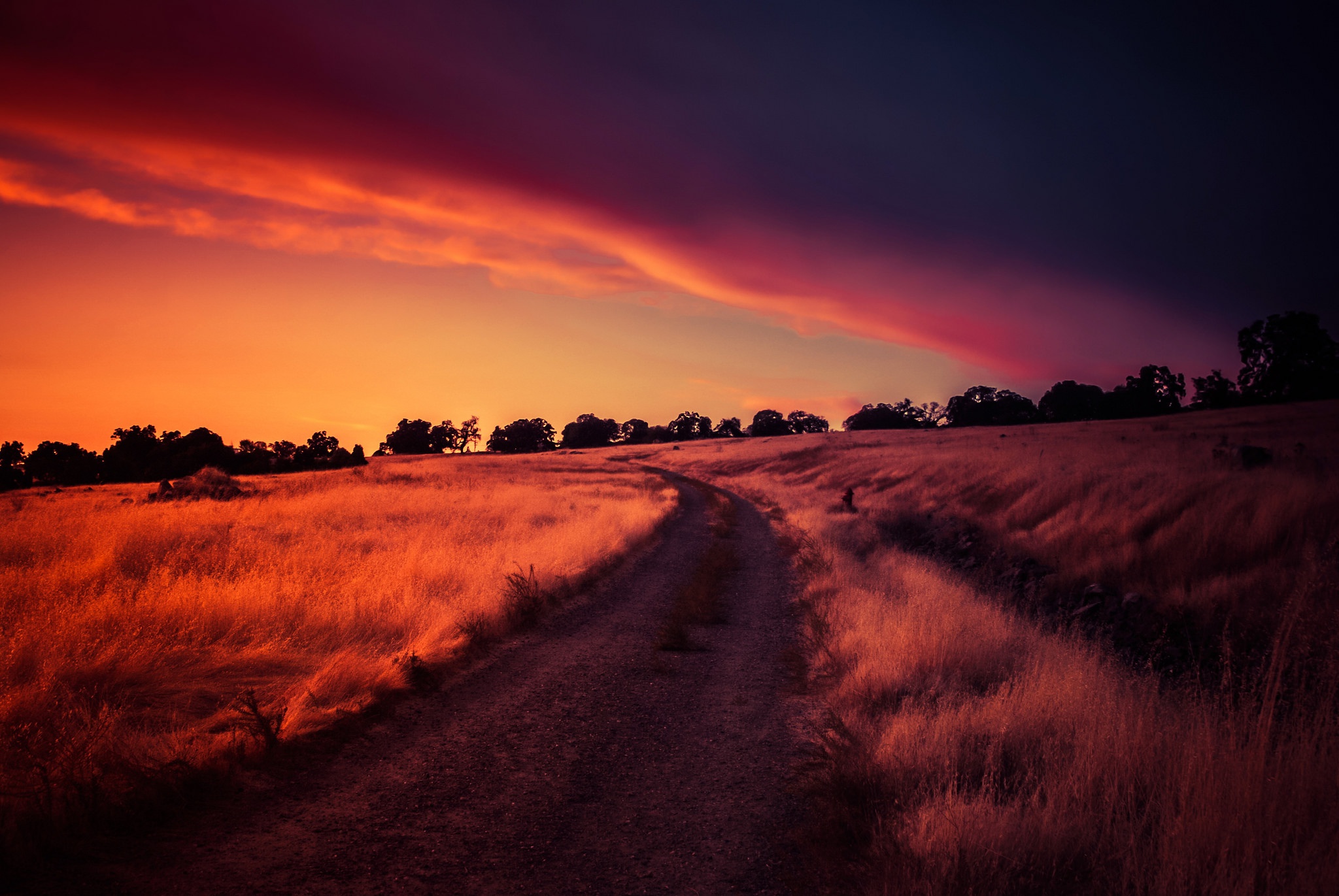 Sunset over a grassy field with a dirt path HD Wallpaper