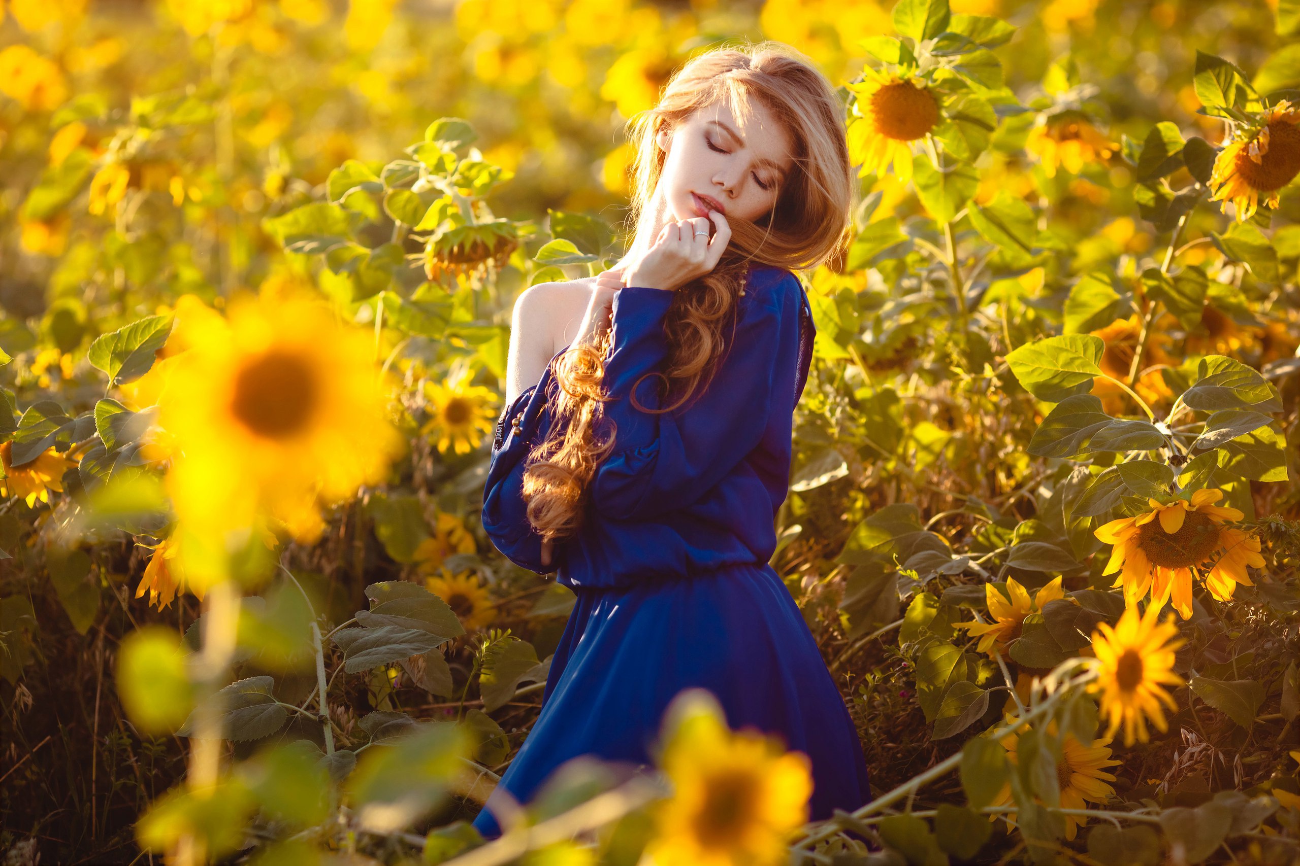 Woman in blue dress in sunflower field HD Wallpaper