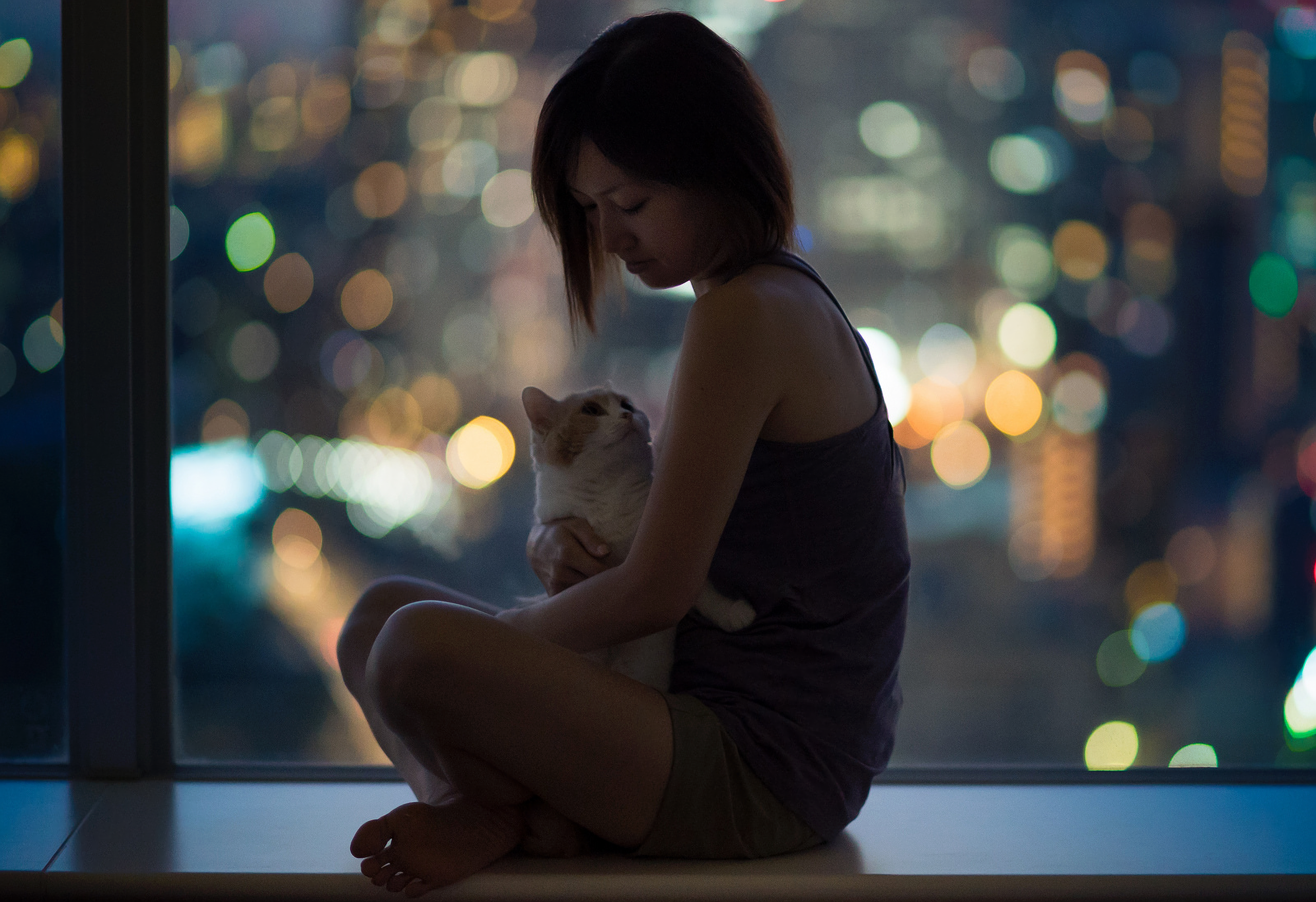 Woman holding a cat with city lights bokeh at night HD Wallpaper