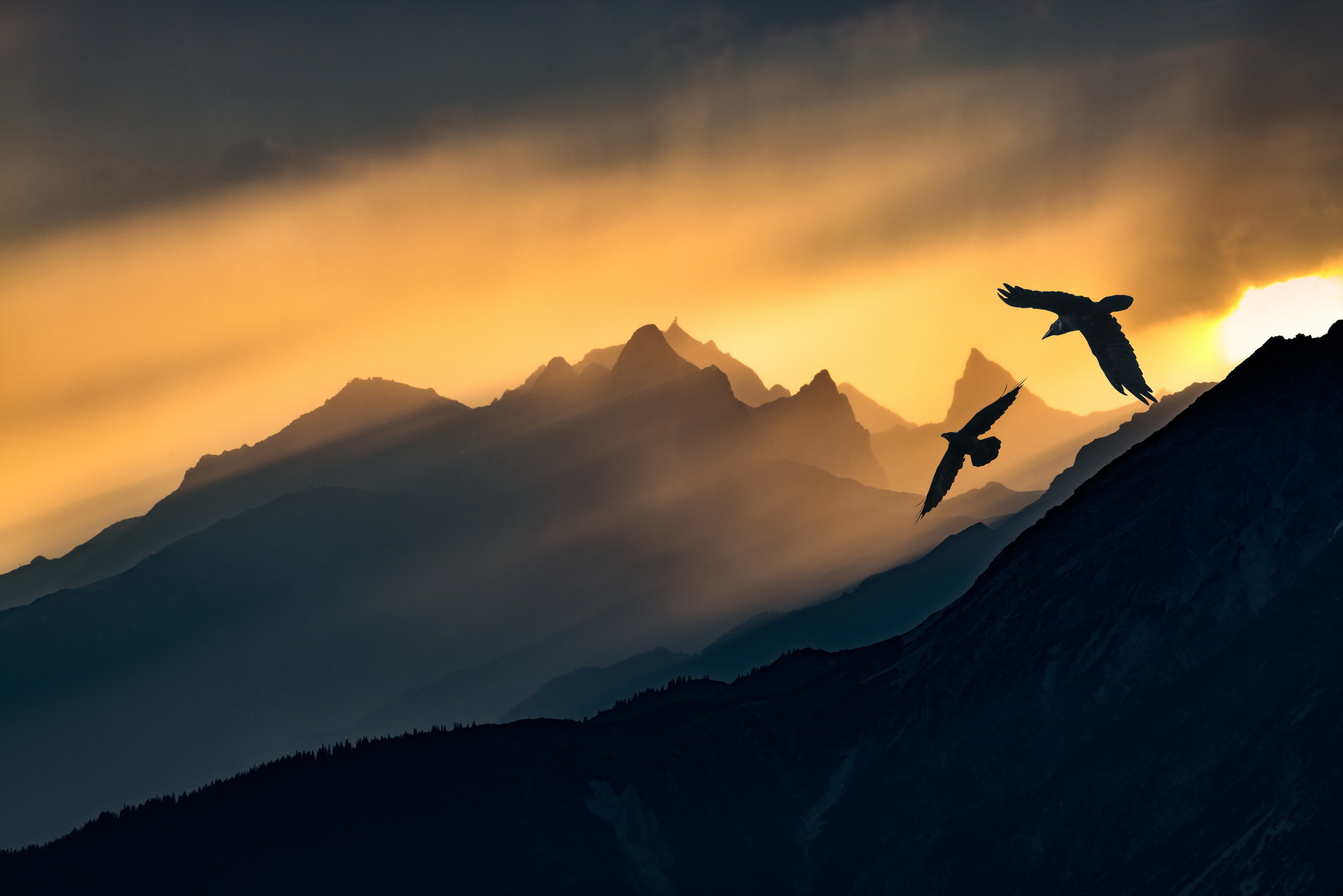 Birds flying over mountains at sunset HD Wallpaper