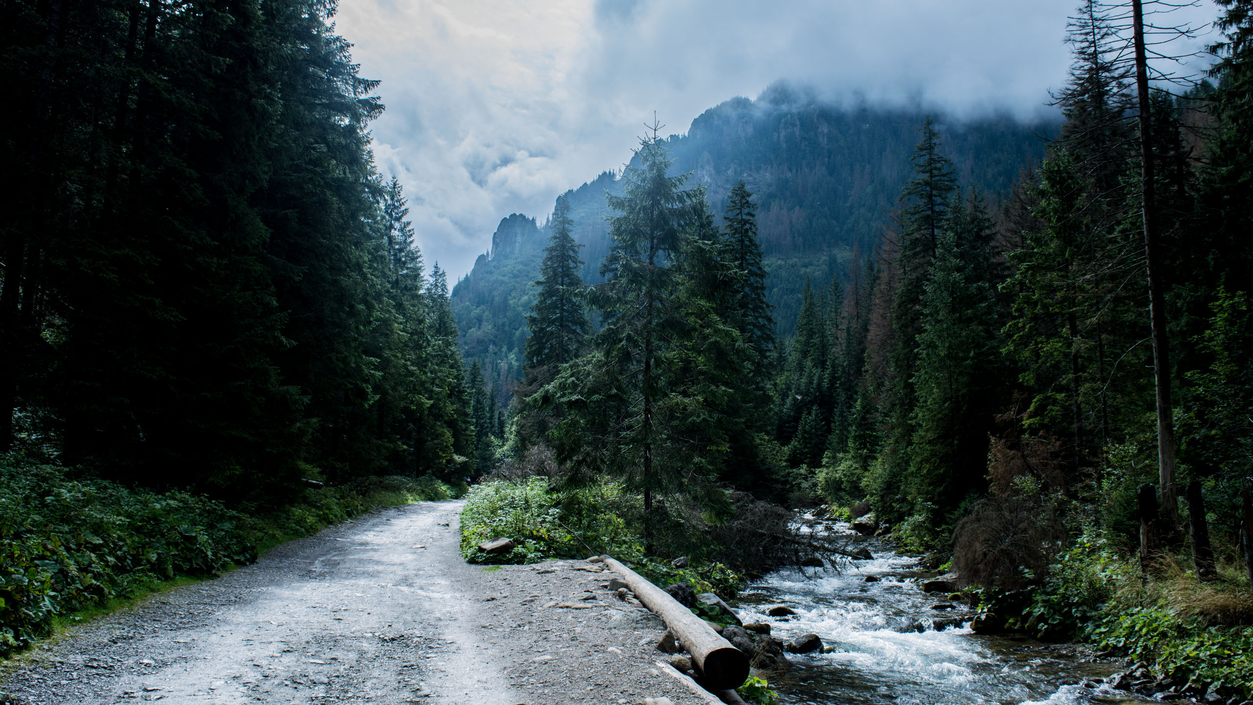 Mountain road and river in Tatra Mountains forest HD Wallpaper