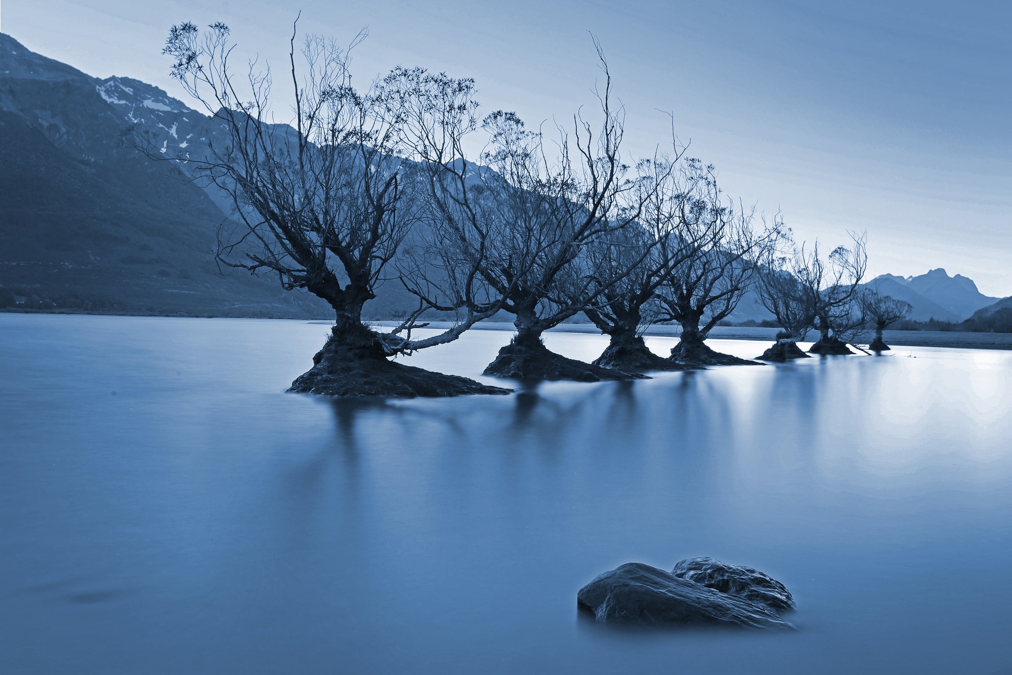 Bare trees in a lake with mountains HD Wallpaper