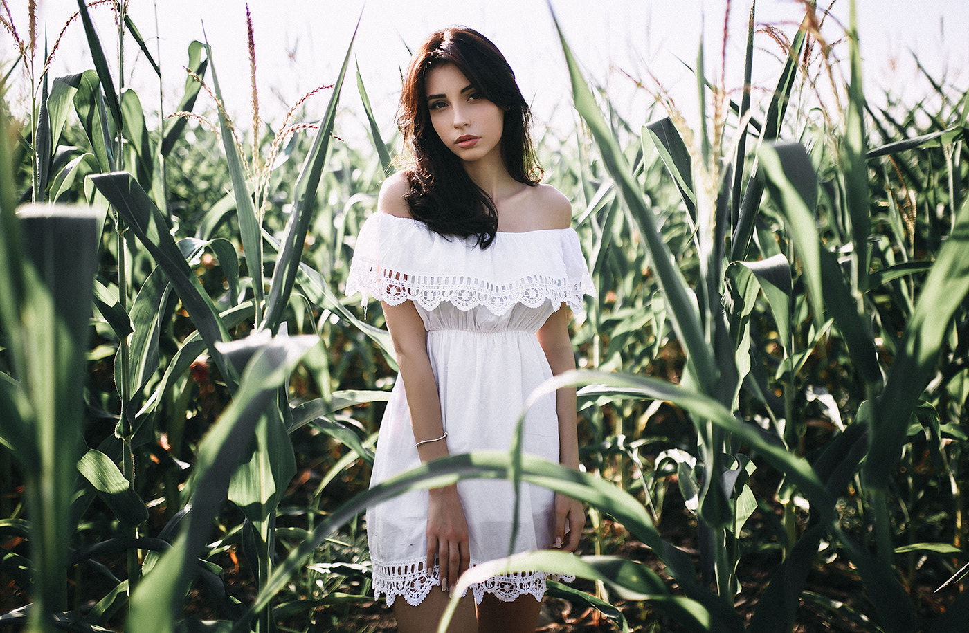 Woman in white dress in cornfield HD Wallpaper