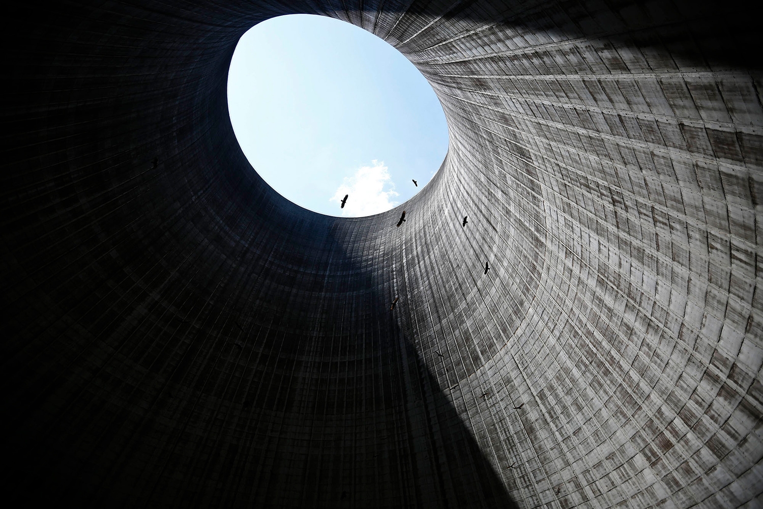 Birds flying inside a cooling tower HD Wallpaper