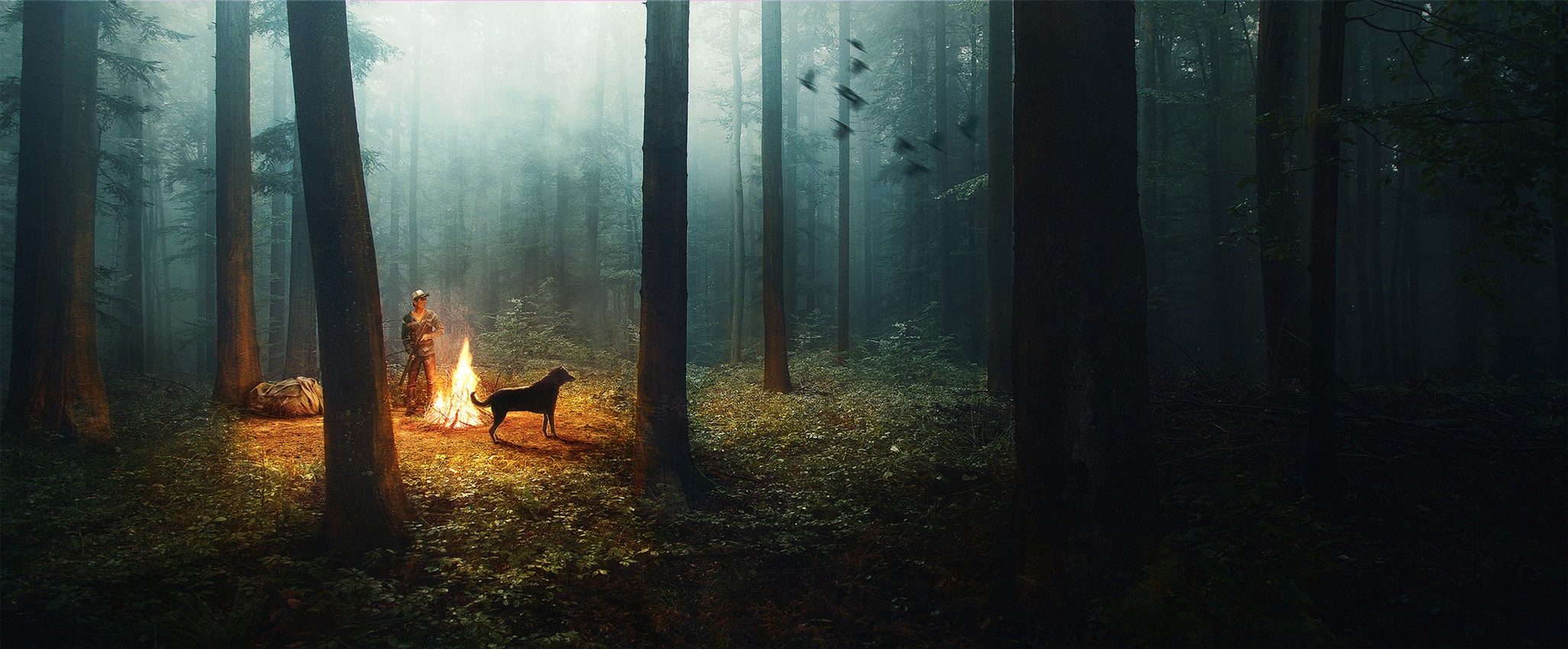 Person and dog by campfire in a misty forest HD Wallpaper