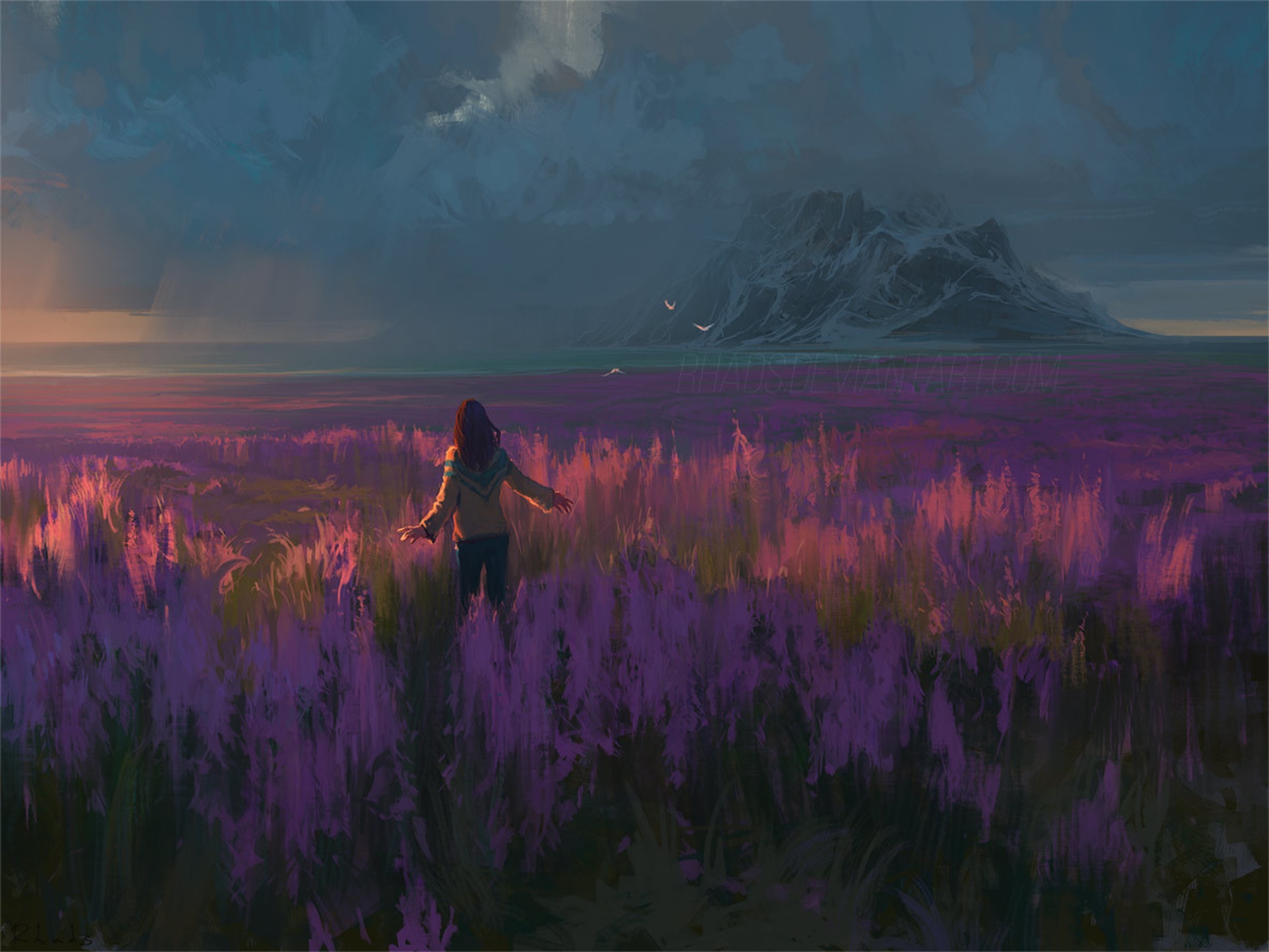 Girl in a purple field with mountains in the background HD Wallpaper