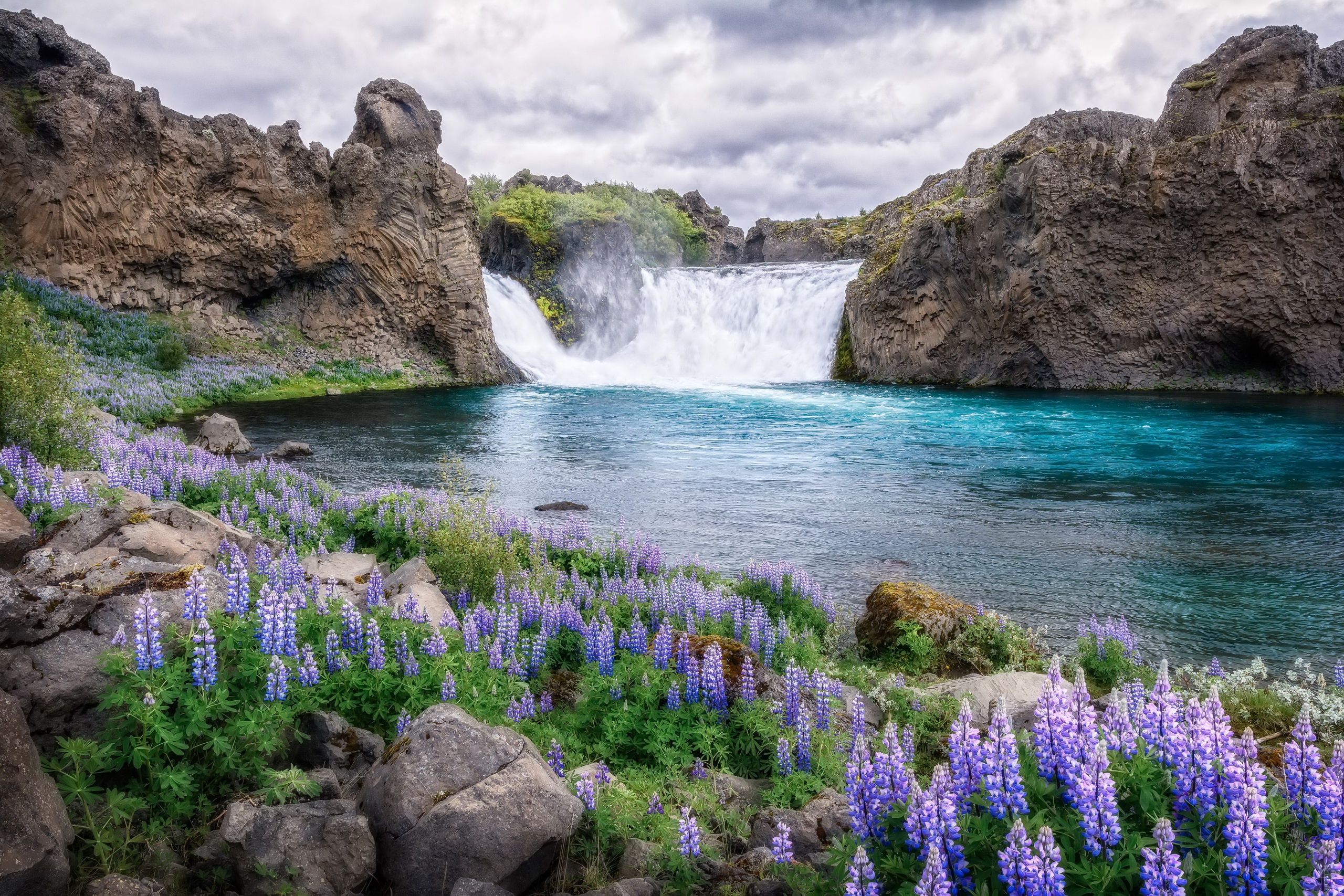 Waterfall surrounded by rocks and purple lupine flowers HD Wallpaper