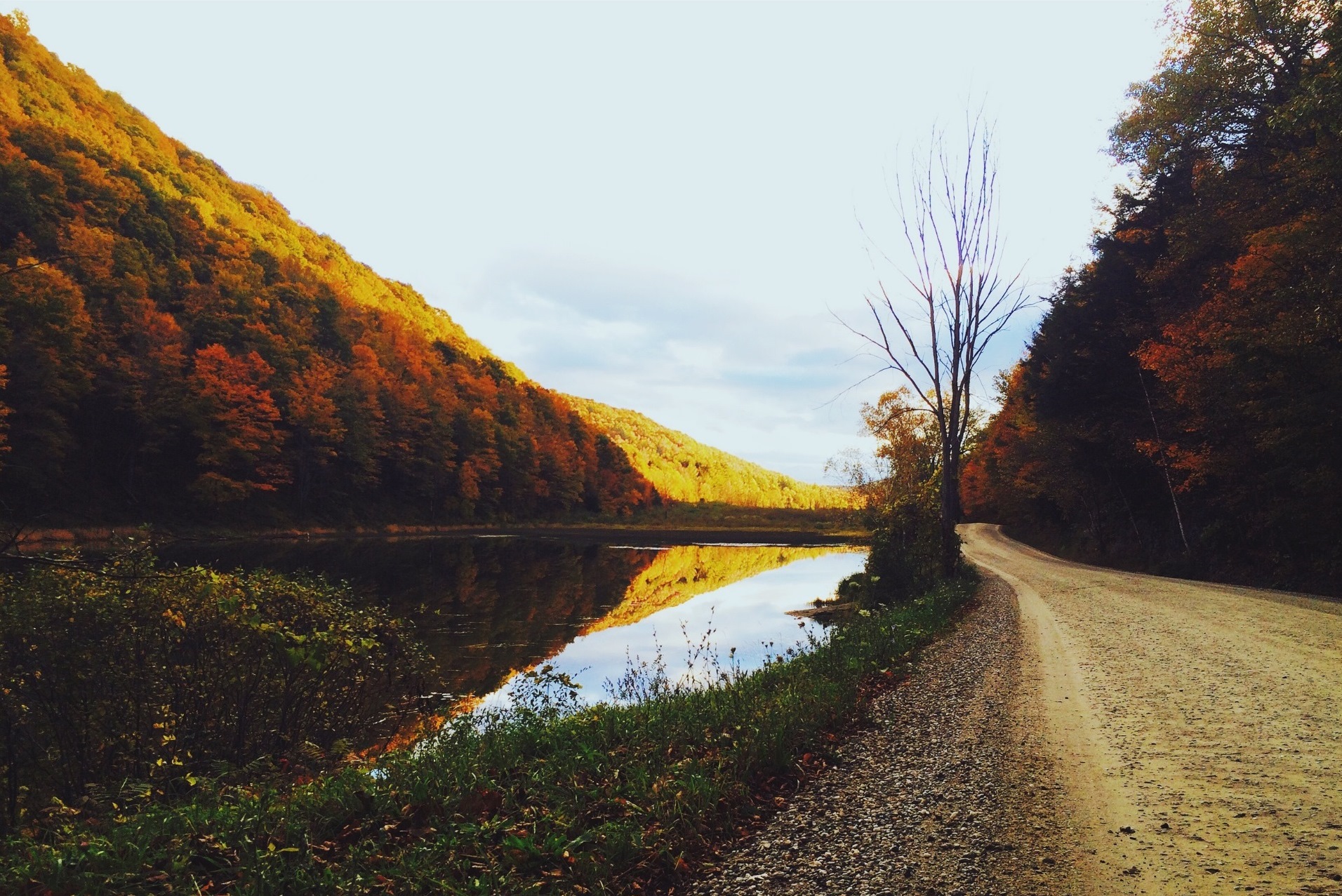 Autumn landscape with a lake and a dirt road HD Wallpaper