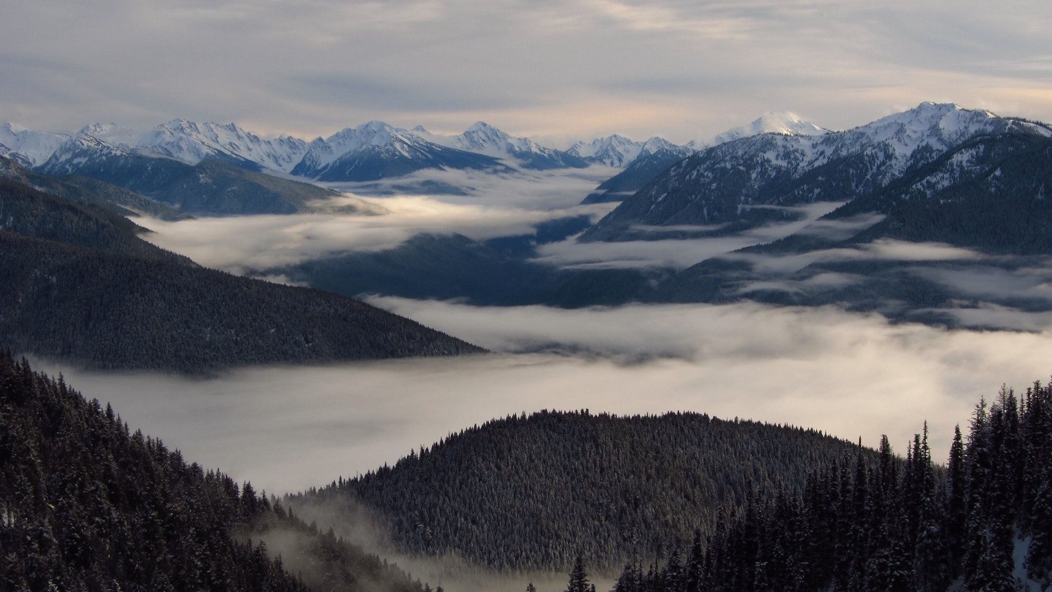 Snow-covered mountains with fog and pine forests HD Wallpaper