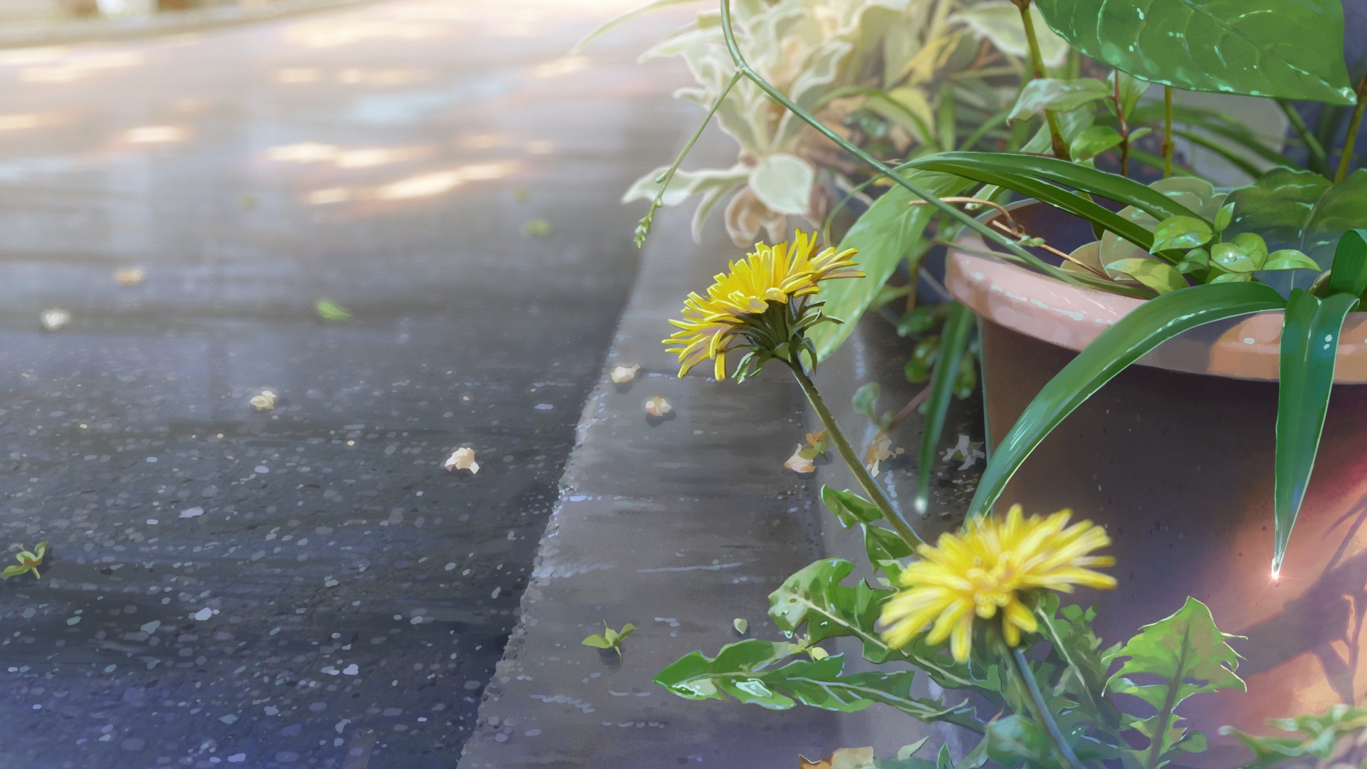 street, Kimi no Na Wa, realistic, Your Name, flowerpot, dandelion HD Wallpaper
