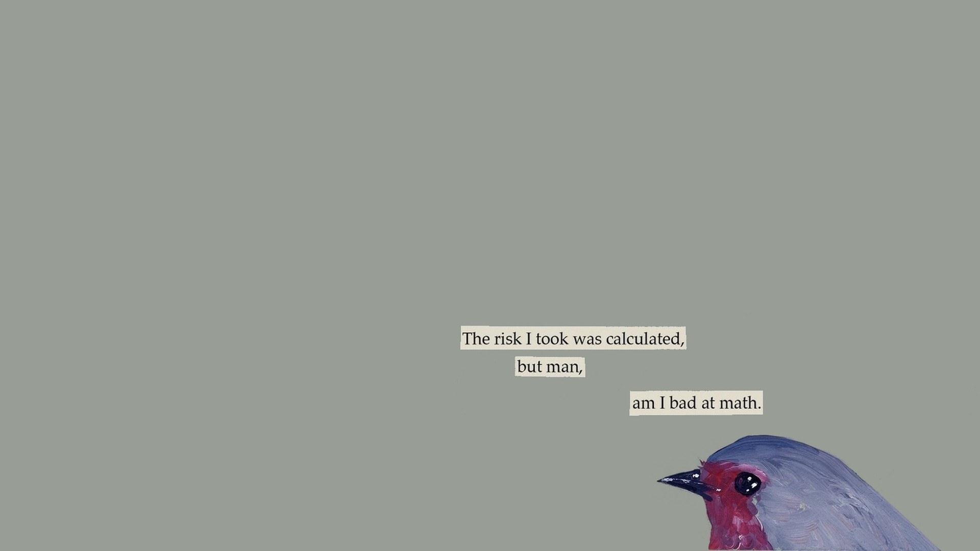 Bird with text about calculated risk and math HD Wallpaper